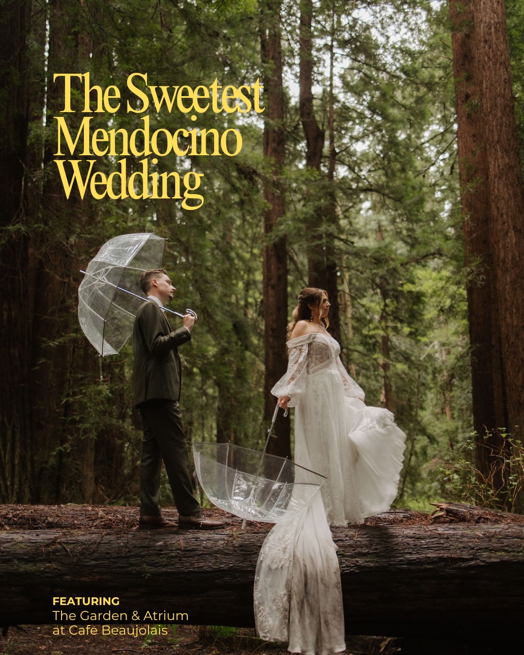 First we love, then we dine đ¤
Anna & JD, thank you for celebrating with us. It was an honor to be part of your evening.
#IntimateWedding #WeddingInspo #JustMarried #Mendocino #NorthernCalifornia
đˇ: @madelinecaldwellphotography
