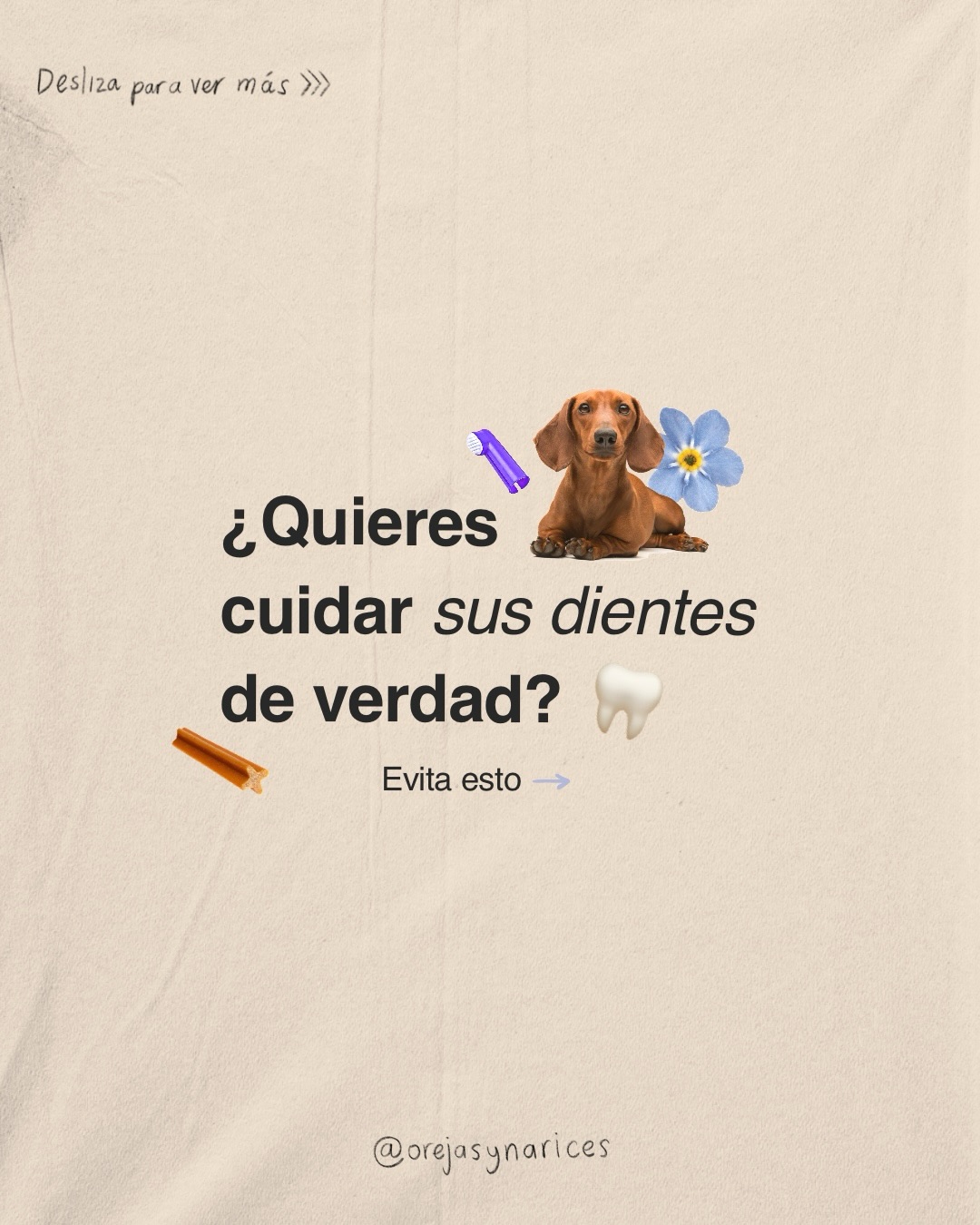 El sarro no aparece de la nada… y muchas veces tiene que ver con lo que comen. 🦷🐶⚠️
La mayoría de nosotras cometemos estos errores sin saberlo, con la mejor intención 💛
Por eso es tan importante informarnos, para poder elegir mejor. 💪🏽✨
Guárdalo para tenerlo a mano y compártelo con otra mamá perruna que tal vez lo necesite. 🤗🌞🐕