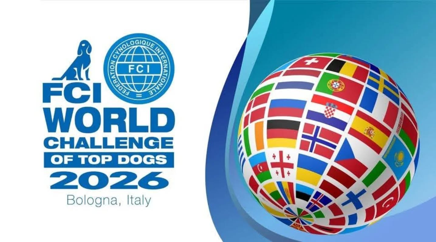 FCI World Challenge of TOP DOGS 2026.
Bologna, 6th of June 2026. (on Saturday) during the FCI World Dogshow.
The TOP DOGS of each FCI member can only be entered by their own Kennel Clubs by 15th OF MAY (!!!), to the FCI Office ( there is no entry fee exists for this competition).
The dogs will be drawn to 3 Groups.
The 3 judges will represent all 3 FCI Sections and are:
Arne Foss , Miguel Angel Martinez , Gopi Krishnan . 4 dogs from each group will be selected to the final, where the BEST IN SHOW will be announced as the FCI TOP DOG 2026.
The BIS will be judged by Barbara Müller .
We established a tradition in Helsinki last year. LET'S CONTINUE IT IN BOLOGNA!
#wds2026🇮🇹 #worldchallengeoftopdogs2026 #teamKnox