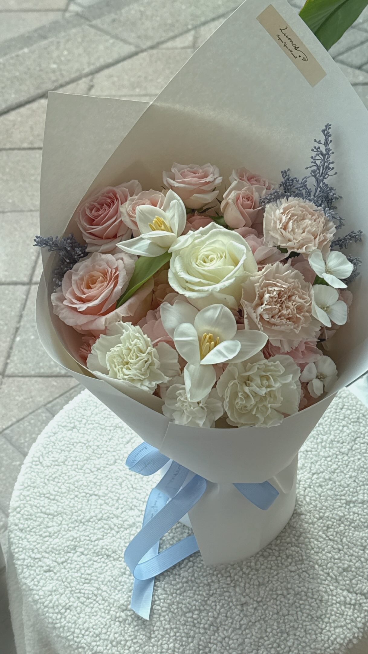 Soft tones, gentle layers, and quiet elegance.
Blush roses with white tulips and carnations —
simple, clean, and endlessly calming.
A bouquet that feels like a soft moment.
#pastelflowers
#minimalbouquet
#floraldesign
#softaesthetic
#flowerlovers
