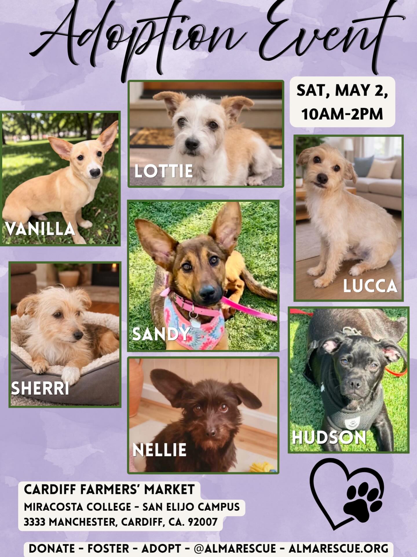 ADOPTION EVENT! π
Come meet our adorable pups this Saturday at @cardiff_farmers_market 10am-2pm