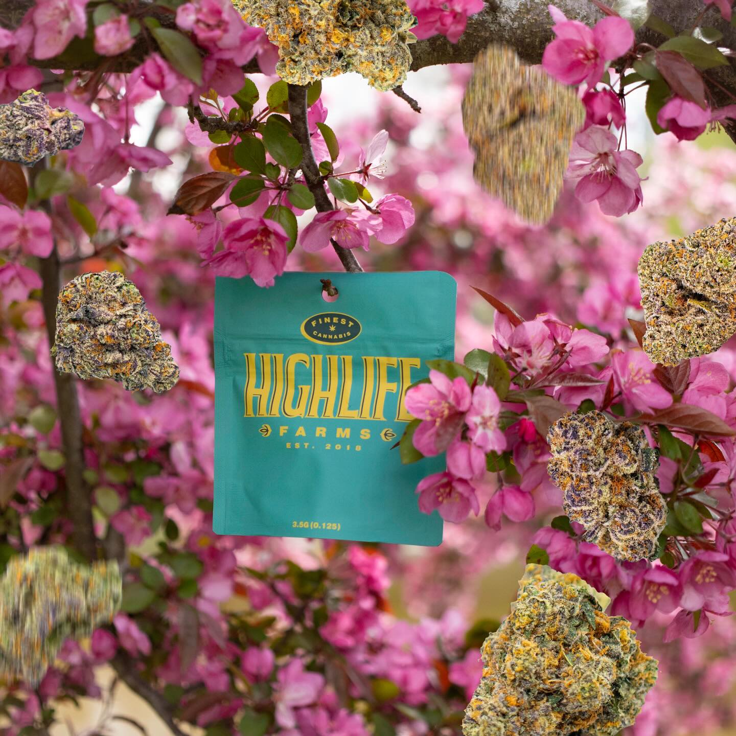April showers bring May flowers… lucky for you, ours come pre-packed 🌧️🌸