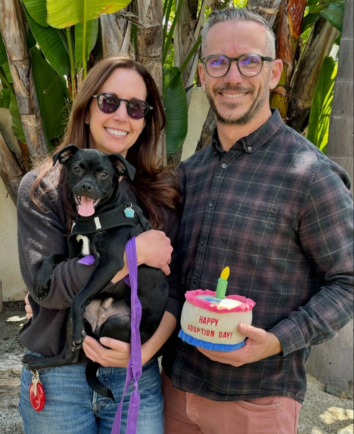 We think Hudson's big SMILE says it all: He was adopted by the most amazing Furever Family today! He has a new fur sibling named River. Hudson & River: couldn't be a better match ππ
Our sweet little Lottie also hit the jackpot & was adopted by a wonderful couple & is going to be SO loved & definitely treated like a princess in her new home. ππ
Great start as we enter the weekend.. HAPPY FRIDAY FRIENDS! πΎ
#adopted #gotchaday #adoptdontshop #rescuedisourfavoritebreed #almarescue