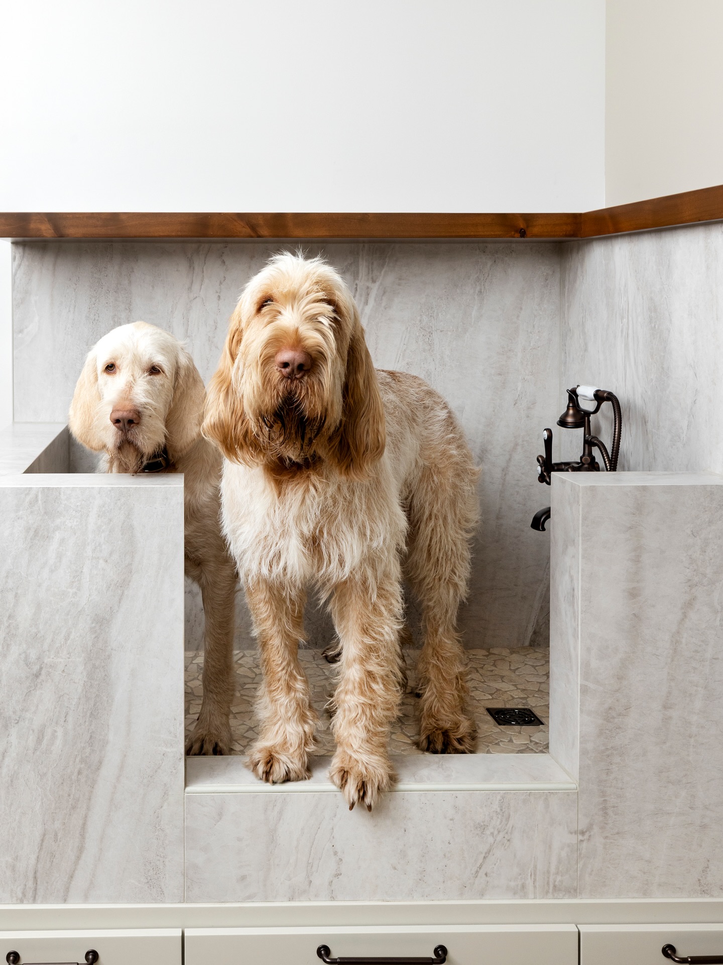 Rainy days & muddy paws… and this dog washing station is doing the heavy lifting 🐾 Meanwhile, the pups are just here being adorable.
Builder: @mnfinehomes
Design: @the_perennialcollective
Cabinets: @engstromwoodproducts
Photography: @spacecrafting_photography