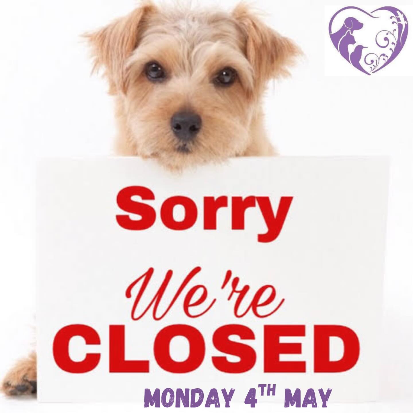 We will be closed on Monday for Labor Day public holiday. For all emergencies please contact @animalemergencyservice at Carrara.