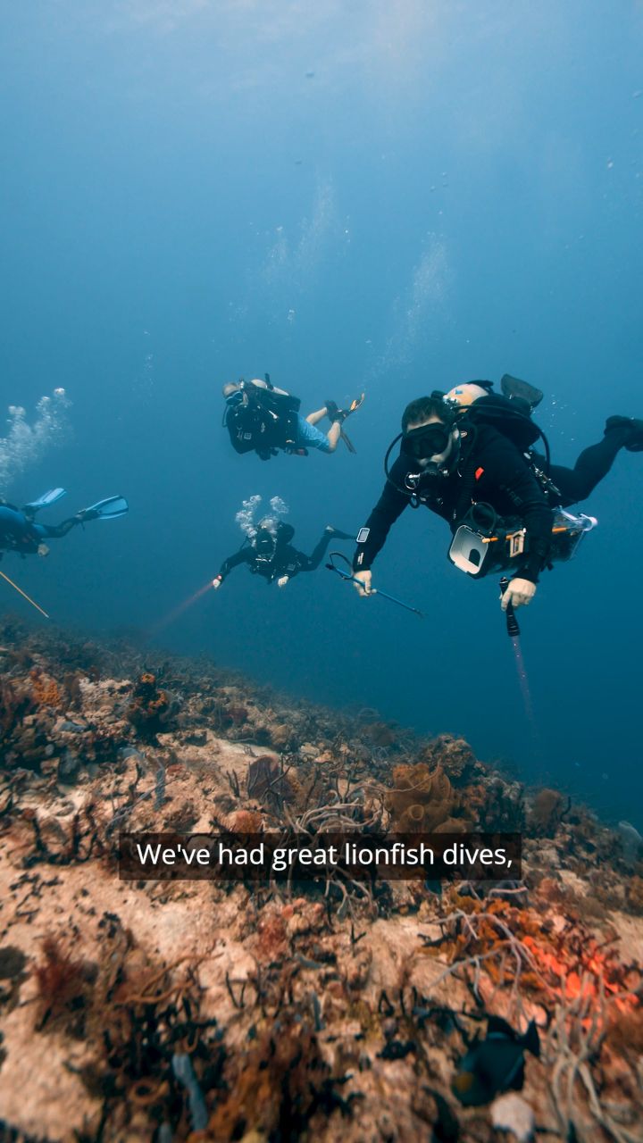 “I’ve been diving with Aldora for years…”
And that’s the kind of story we love to hear.
From first dives to lifelong memories — this is what it’s all about.
Once you dive with Aldora… you become part of the family.
Thank you for trusting us year after year 🤍
🌊 Ready to start your own underwater story?
#DiveCozumel #AldoraExperience #cozumel #scubadiving