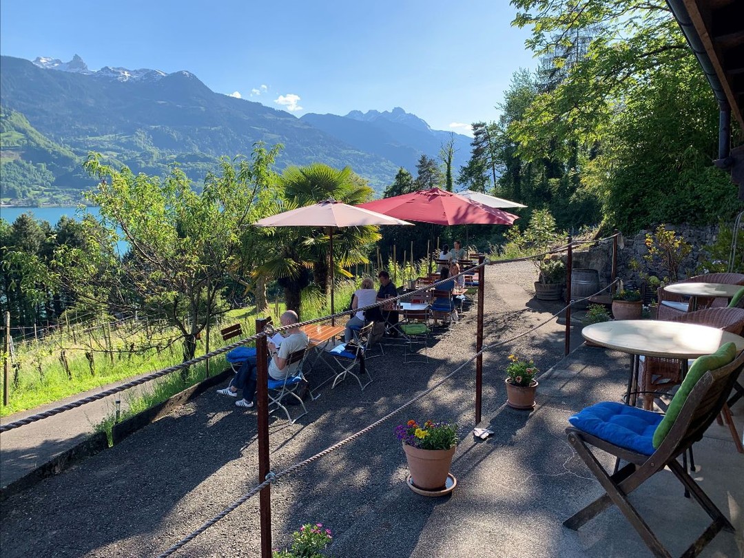 Neues aus Rebberg und Keller, Newsletter Nr.38