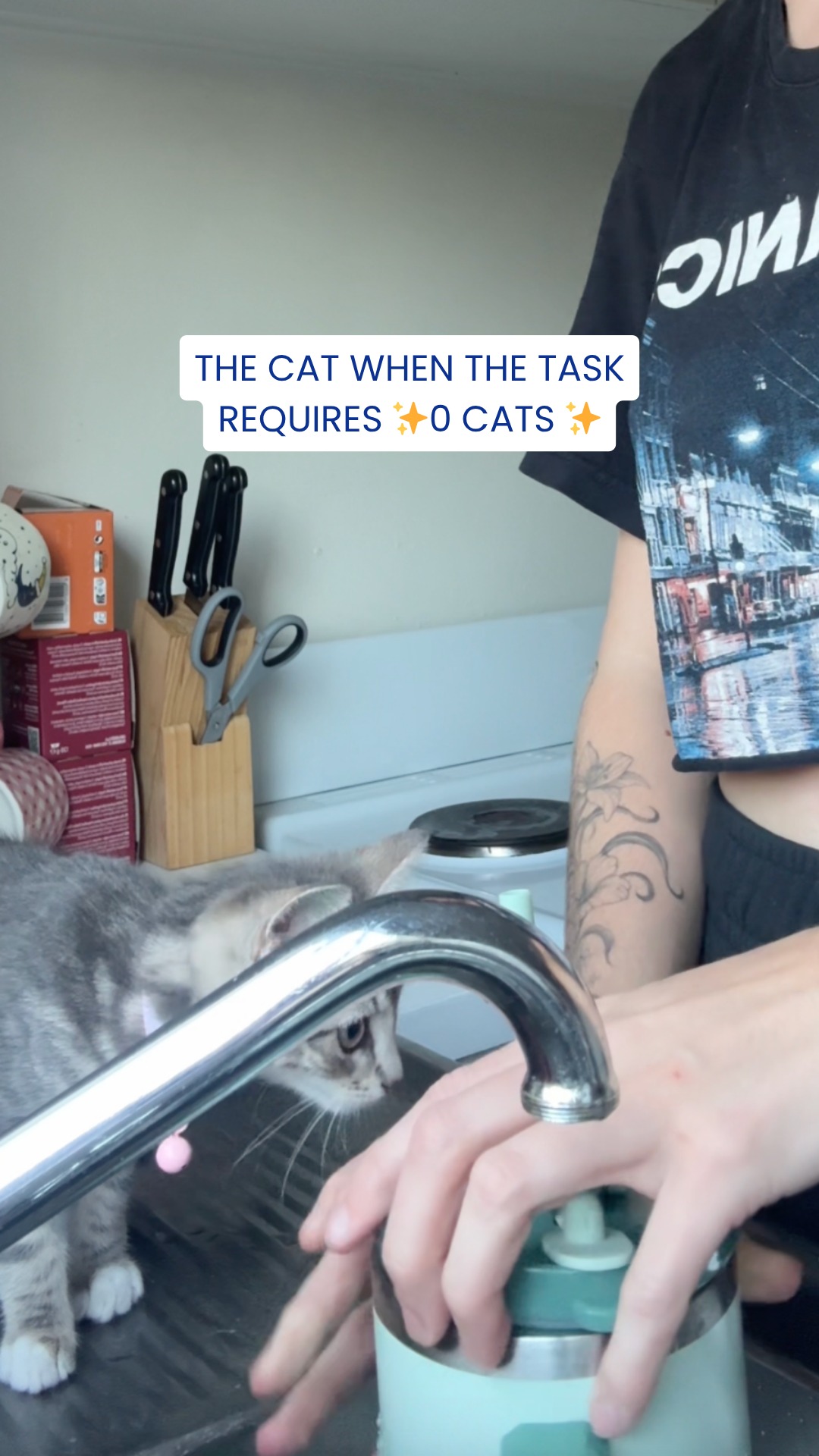 Love language is quality time (supervising) and acts of service (being directly in the way)🥹
Thanks for the support, diva!
#CatMemes #CatsOfInstagram #LoveLanguage