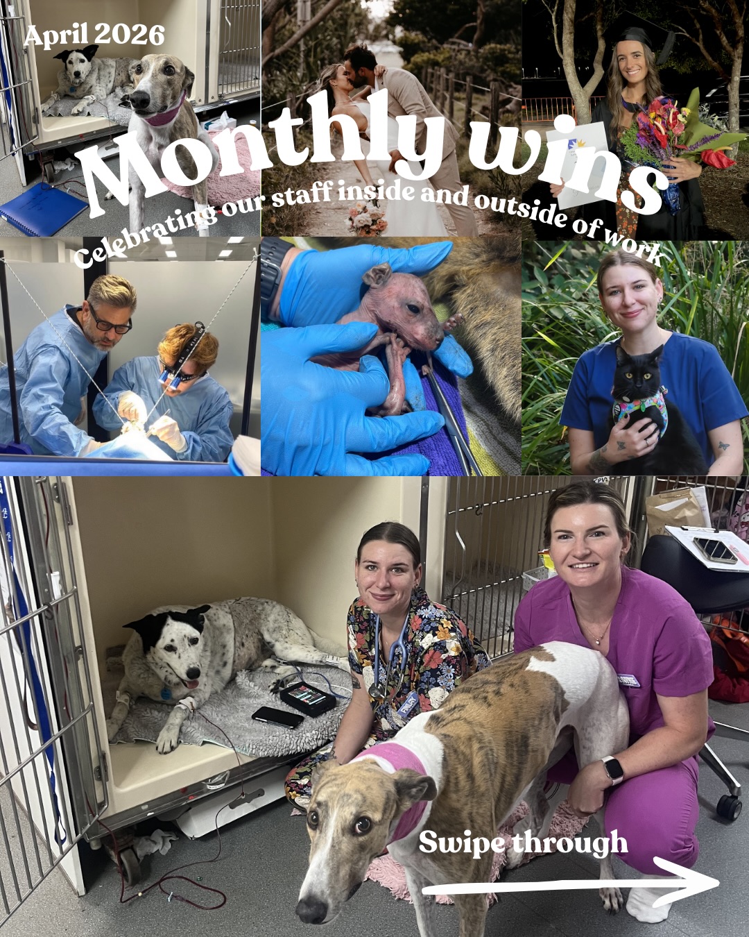 April wins at Chancellor Park Vet Surgery 🏆🐣
Celebrating our staff inside, and outside of work 🤝
Oops typo on slide 10, attended***
