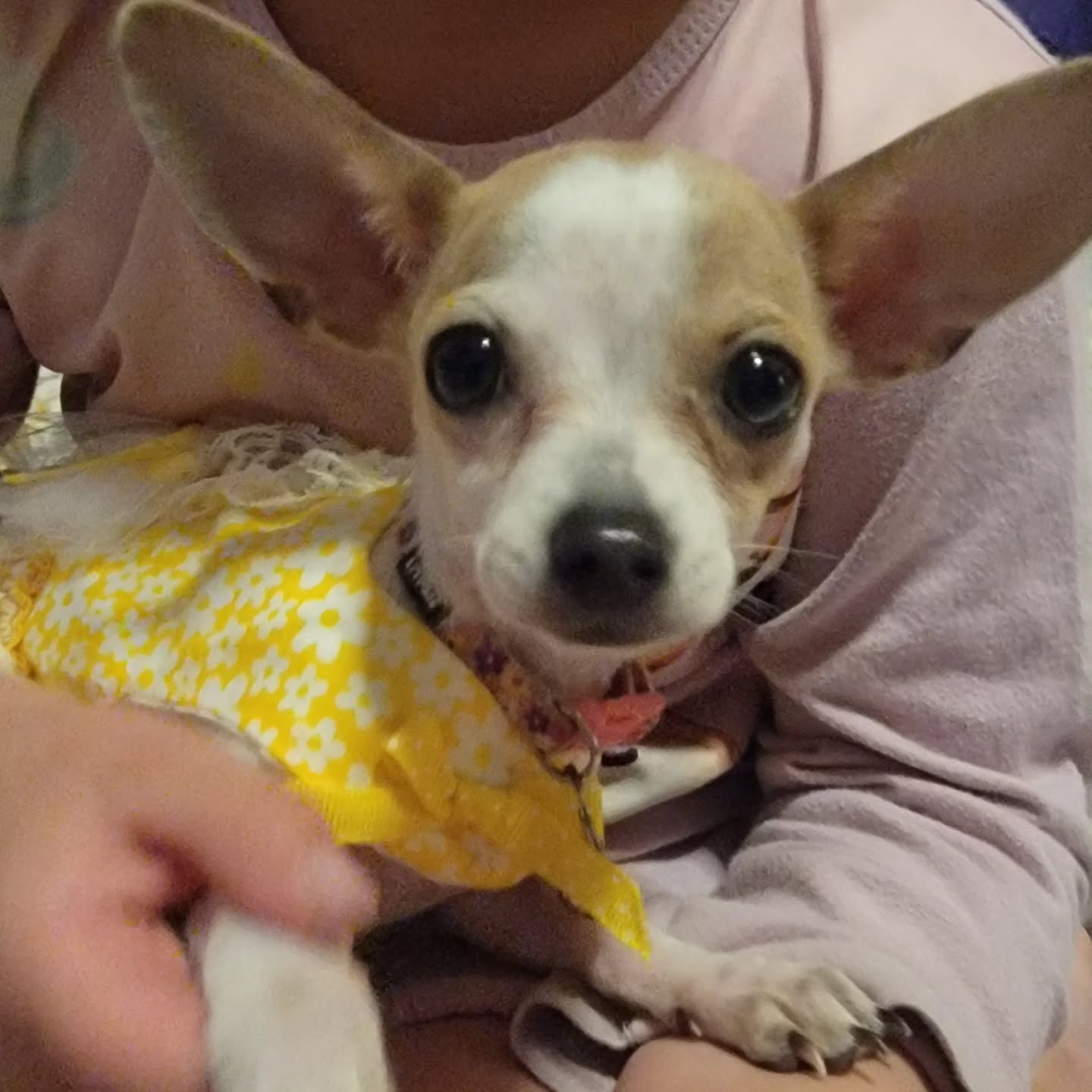 Hello there bright eyes!