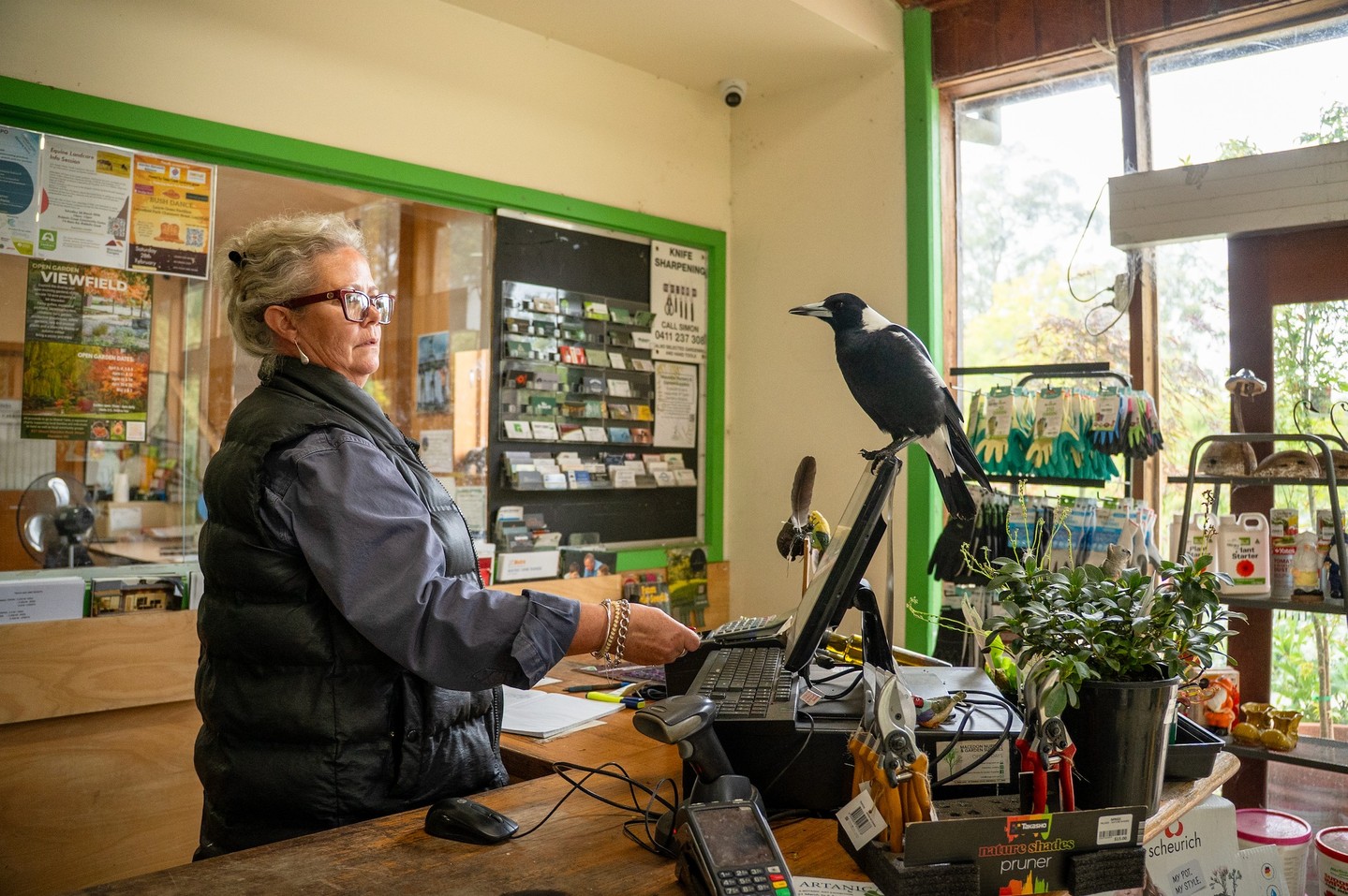 The team is back on deck today at Macedon Nursery & Garden Supplies, open 10am to 2pm. No rest for the wicked, hey, Bobby?!
#macedonnursery #macedonranges #macedon
