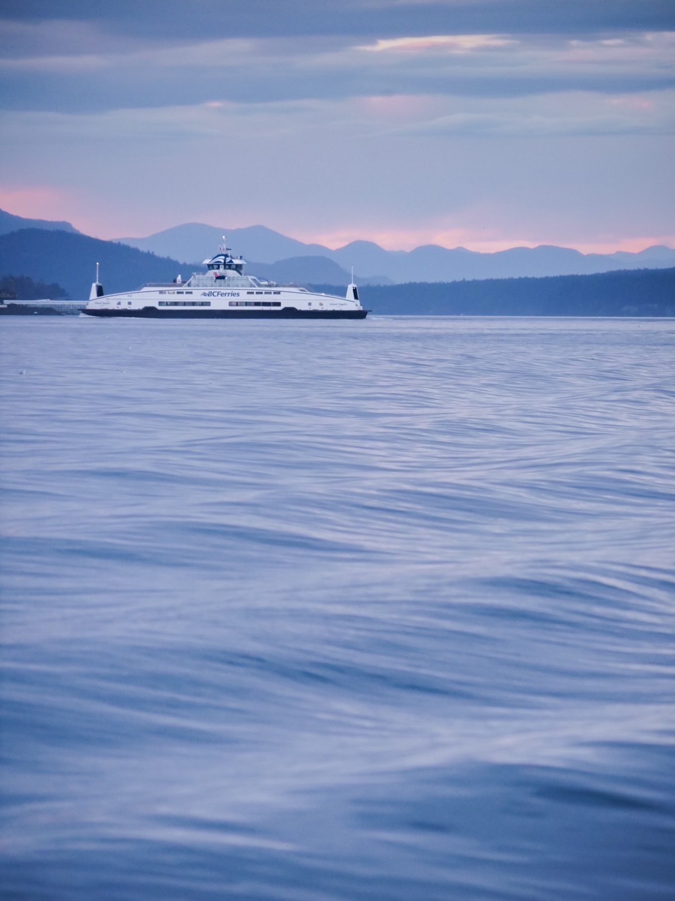 ⛴️ 🐻 🐋 📍 @homalcotours @bcferries
#bearwatching #campbellriver #whalewatching #vancouverisland #canada @indigenoustourismbc