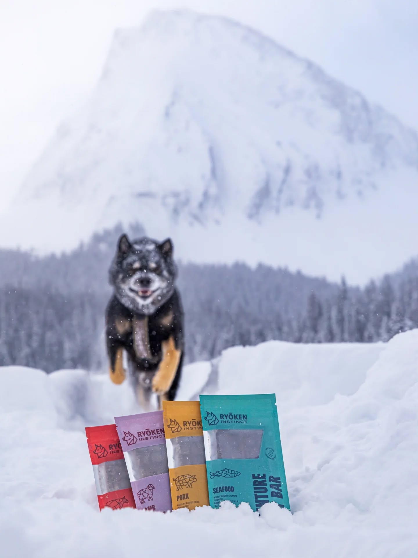 Apex Predator Mode: ACTIVATED
Hold the dots and scroll to watch me pouncing upon a herd of unsuspecting Adventure Ready Bars! π
Do you also enjoy stalking your snacks, or would you rather your humans just hand over the goods? Either way, you can stock up at @ryokeninstinct with code KAIJUINSTINCT