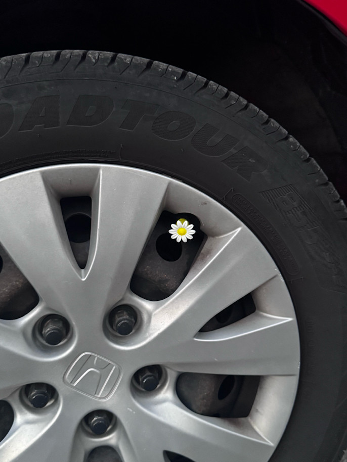 Upgrade your ride with 4-pack tire valve stem caps! Choose from elegant white daisies or fun Bigfoot designs. Universal fit, easy to install, and perfect for adding personality to your wheels! 🚗🌼🦶 #CarAccessories #TireCaps #AutoStyle
https://ebay.us/m/gmHX4q
https://ebay.us/m/hoifEh