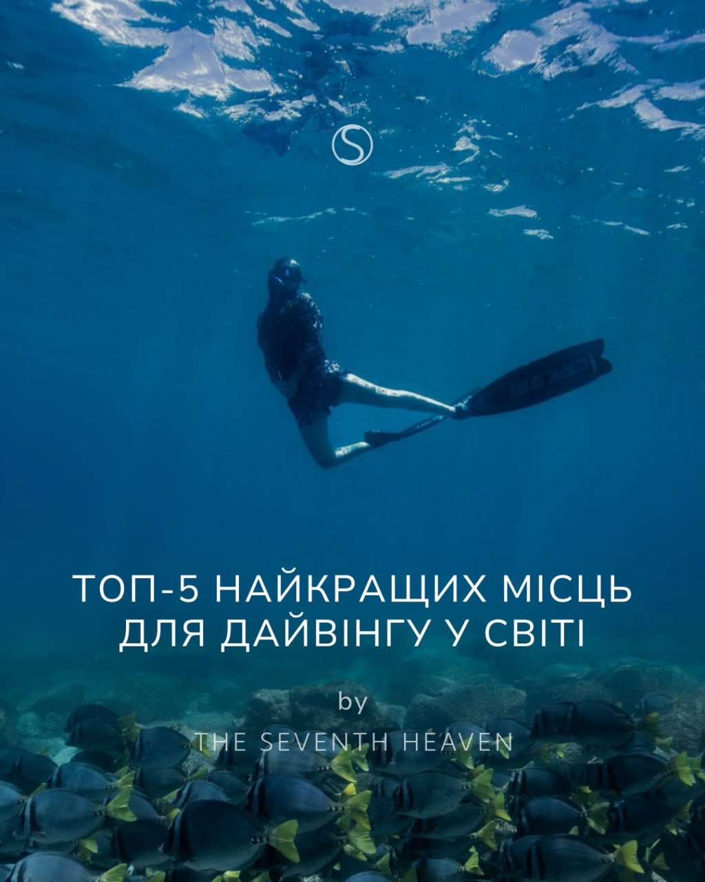 ТОП-5 найкращих місць для дайвінгу у світі
Очевидні напрямки та ті, що вас здивують.
Деталі - у каруселі