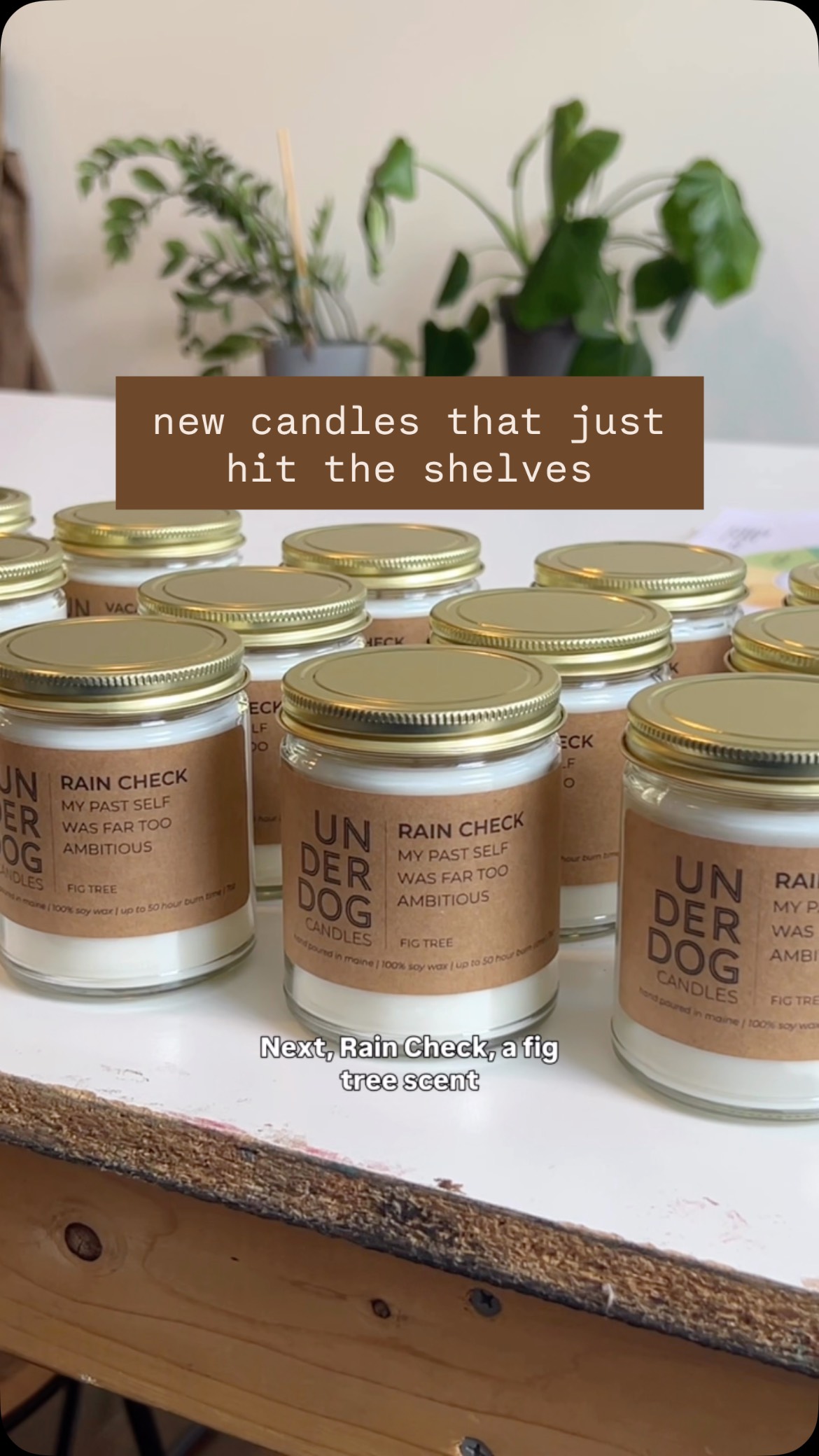 Stay til the end to find out what scent notes are in Fiddleheads’ new signature candle 👀
.
.
.
#underdogcandles #mainemade #shoplocal