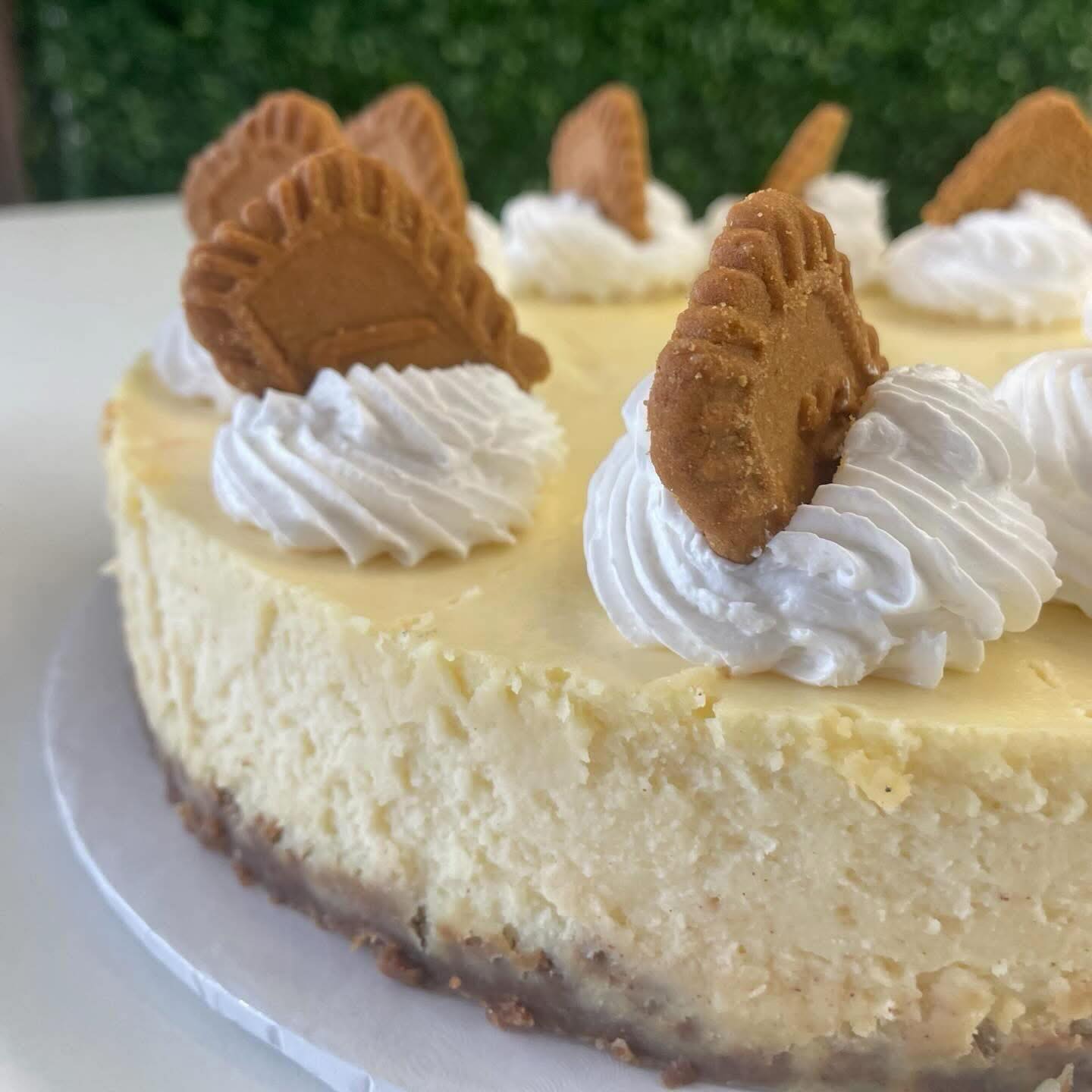 She’s back in stock!!! This Biscoff Crusted Cheesecake is 🔥 💣 💥