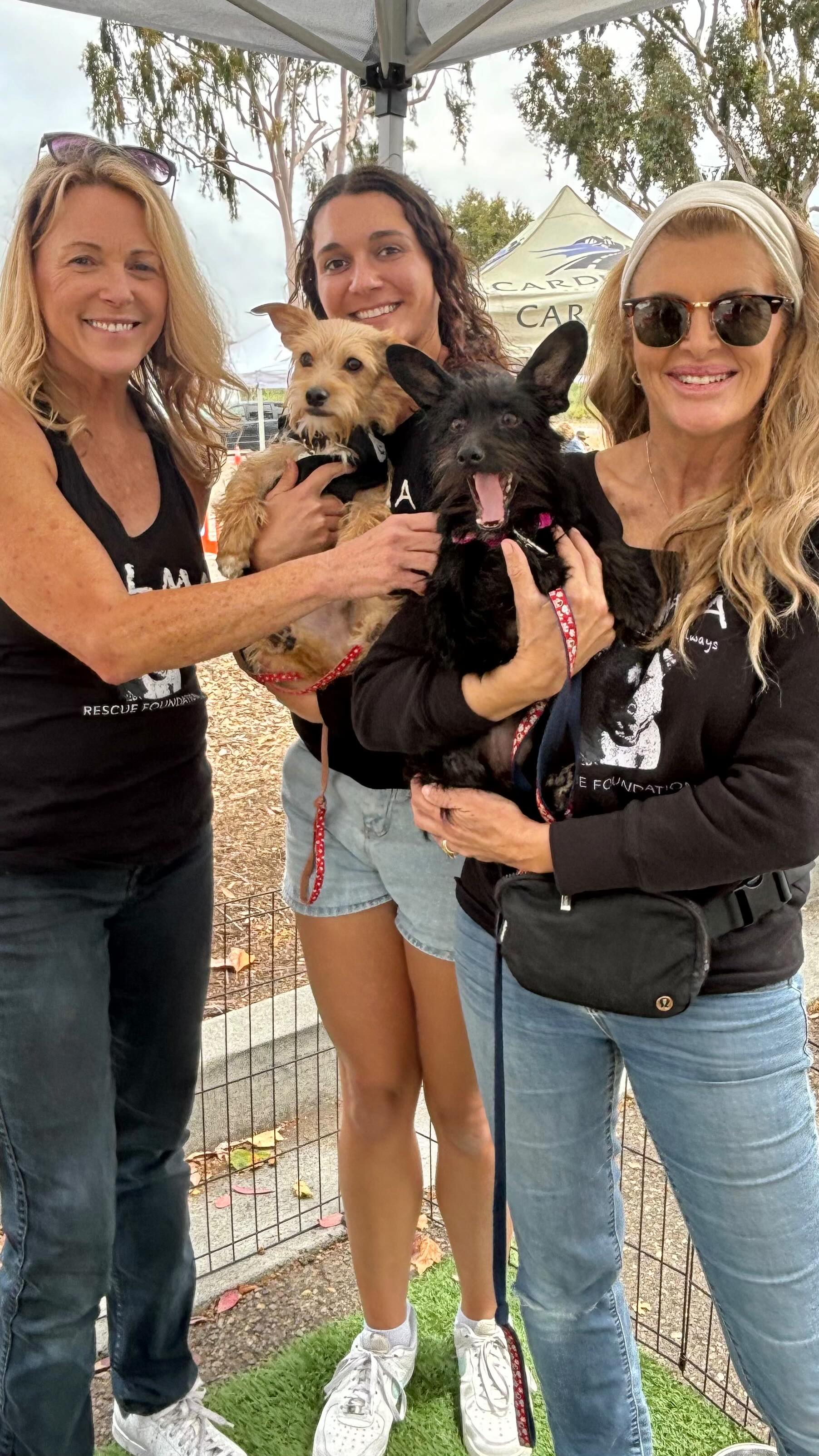 Another great Adoption Event today at the @cardiff_farmers_market βοΈ
One pup adopted and 3 adorable wire haired terrier pups still available for adoption: Sherri, Nellie and Lucca
Special thanks to all of our awesome volunteers who came out to help!
Reach out to us at: www.almarescue.org if you're interested in meeting one of these cuties.
#adoptionevent #rescuedisourfavoritebreed #rescuedwithlove #smalldogsofinstagram #almarescue