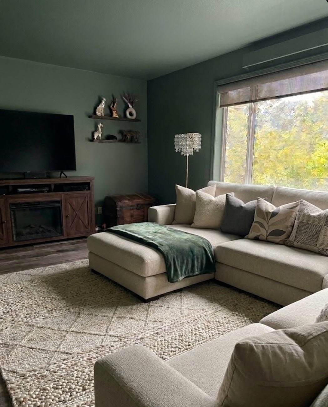 Say goodbye to boring white ceilings! Color drenching is the 2026 vibe we’re obsessed with. By painting the walls, trim, and ceiling the same shade, you create a seamless, cozy, and high-end look. Would you go with a moody green or keep it airy with a warm white? #HendersonHomePainting #ColorDrenching #2026DesignTrends #elkriver #elkrivermn