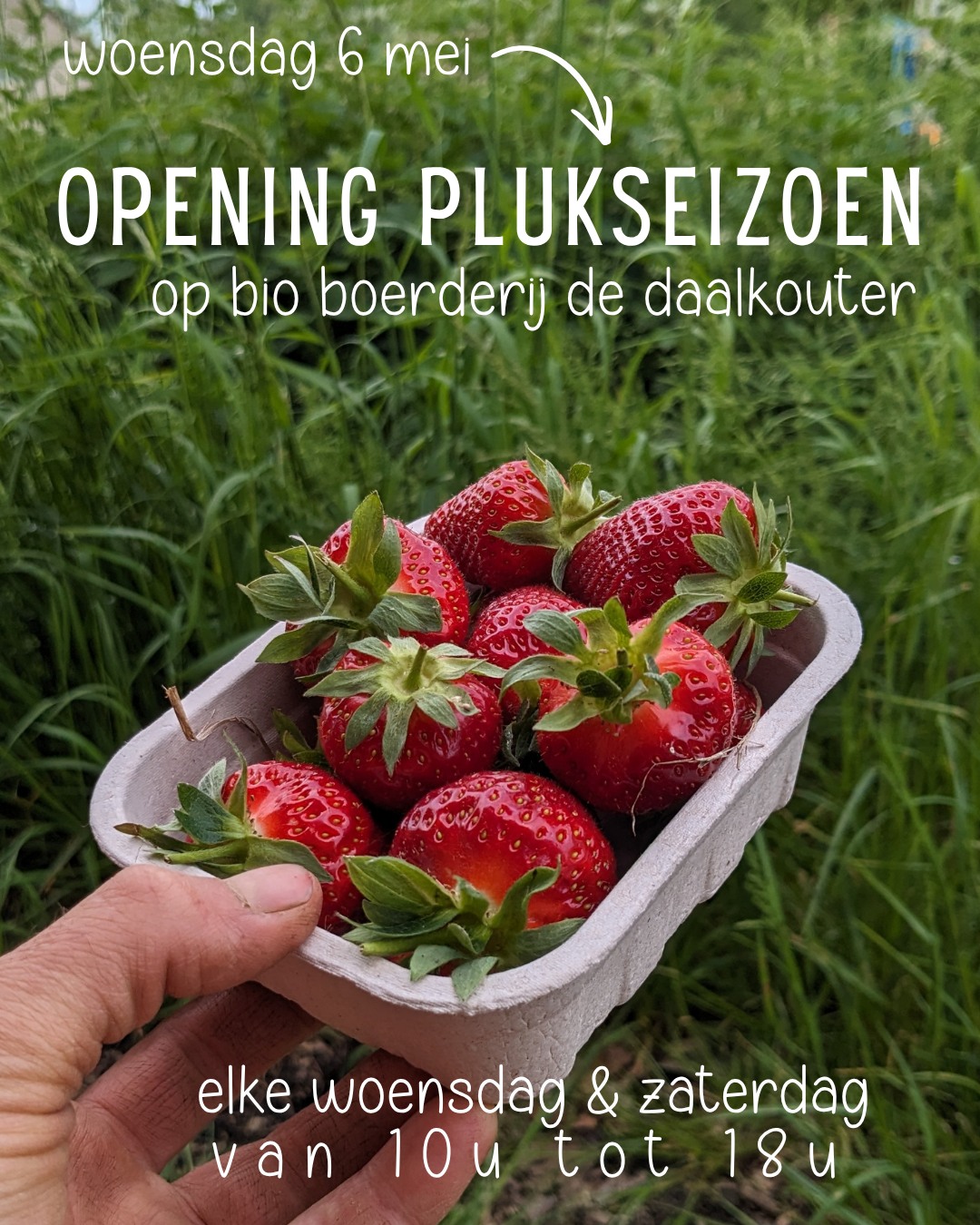 Tadaaaa!
Volgende week woensdag gaat de poort terug open!
Kom langs bij ons, telkens op woensdag en zaterdag van 10u tot 18u.
Wij kijken naar jullie uit π