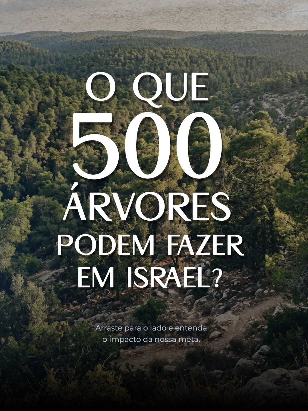 A nossa meta de plantar 500 árvores no Bosque da Reconstrução (יער שחזור) não é apenas um número, é um compromisso real com o futuro do Sul de Israel.
Ao longo desta campanha, vimos como a solidariedade da diáspora se transforma em impacto tangível. Cada árvore consolidada com sua ajuda, embeleza a região e constrói um legado de vida que atravessa gerações. Faltam poucos dias para encerrarmos essa mobilização, e a sua atitude é essencial para completarmos esse ciclo de renovação.
Clique no link do nosso perfil e plante a sua árvore antes que a campanha acabe, e, compartilhe este post com quem precisa fazer parte desse movimento histórico!
.
.
.
#BosqueDaReconstrucao #MeioAmbienteIsrael #ComunidadeJudaica #KKLBrasil #LegadoJudaico