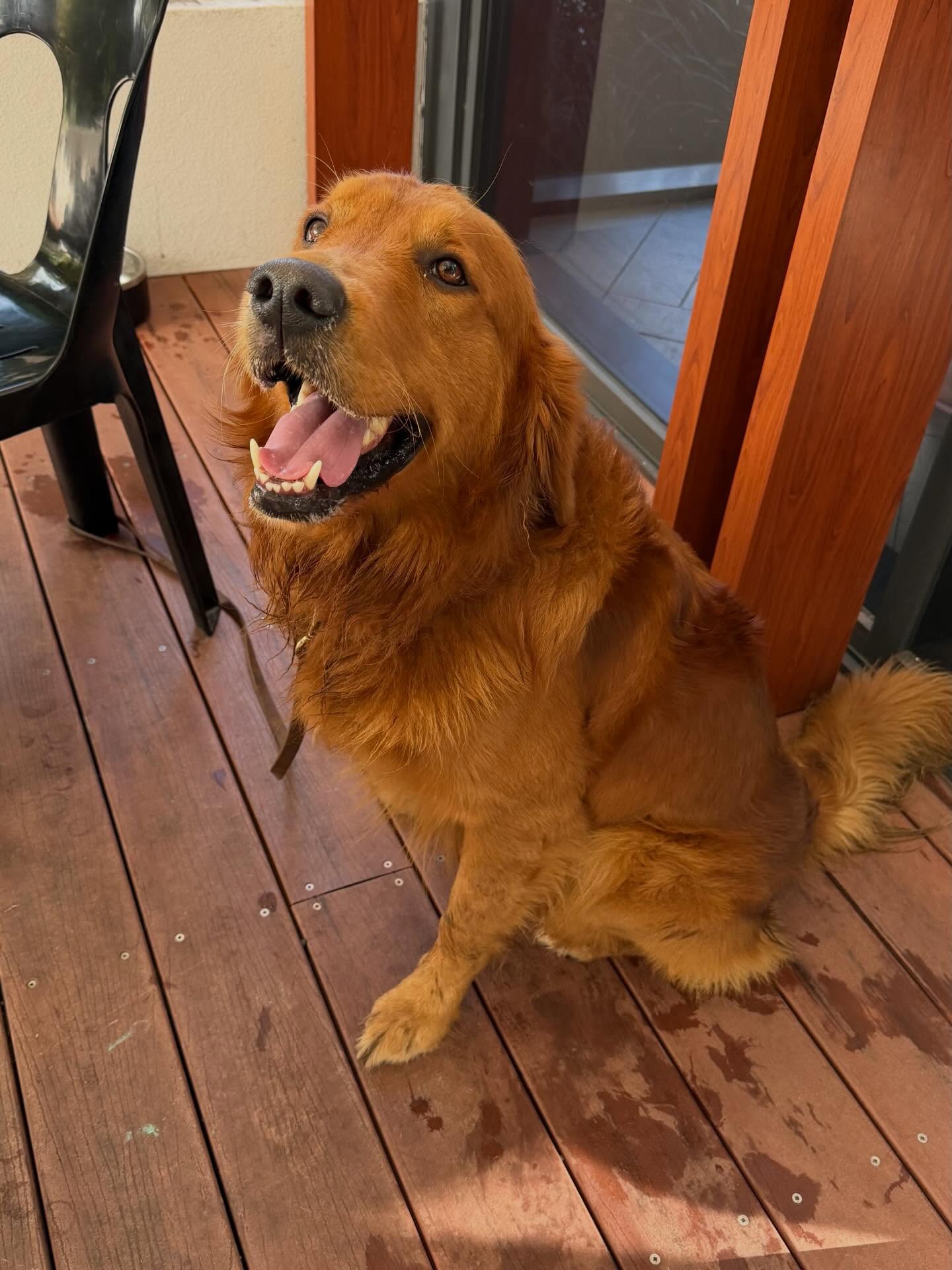 George has come for a holiday over the weekend- we went for morning coffee, like we used too 🥰 he is a very handsome boy young George