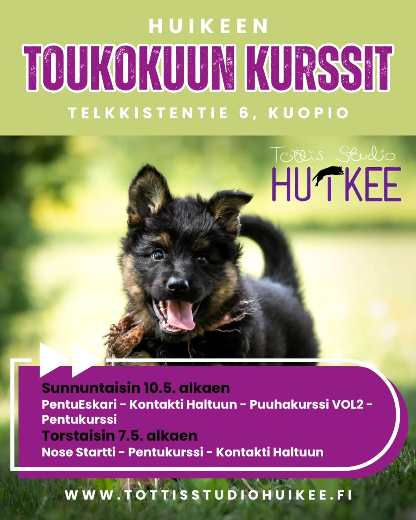💛 HUIKEEN KEVÄÄN KURSSIT! 💛
Toukokuun kurssit HuiKeen hallilla Kuopion Kelloniemessä 🐾
ALKAVIA KURSSEJA
🟢 Pennuille Pentu Startista
✨️ PentuEskari
✨️ Pentukurssi x2
🟢 Arkeen aikuisille koirille
✨️ Kontakti Haltuun
✨️ Kontakti Haltuun 2
🟢 HarrastusPolku
✨️ Nose Startti
✨️ Puuhakurssi vol2
🟢 POP UP -treenit
✨️ Yksittäisiä irtopaikkoja ryhmiin
✨️ Eri aiheista POP UP-tunteja
ILMOITTAUDU MUKAAN KURSSEILLE JA TREENEIHIN
▫️Kotisivujemme kautta
Lämpimästi tervetuloa mukaan! 💛✨️
#tottisstudiohuikee #koirankoulutus #koirahalliKuopio #koirakoulukuopio #koirakoulu