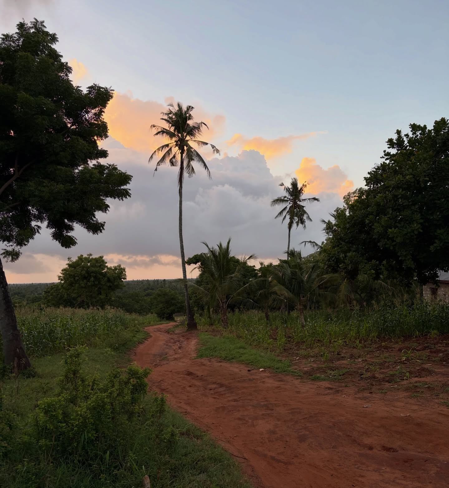 Life lately at Eco Moyo and our beautiful village Dzunguni.