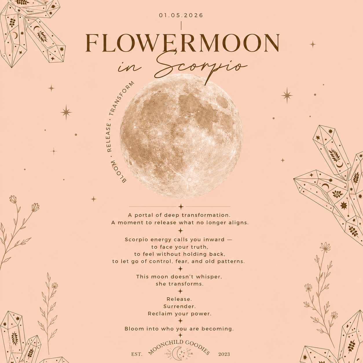 The Flower Moon in Scorpio is here 🌕✨
A powerful moment to release what no longer aligns…
old patterns, heavy emotions, control, fear.
This energy asks you to go deeper.
To feel. To face your truth. To let go — and trust what’s unfolding.
Not everything is meant to be carried forward.
Some things are meant to be released under this moon.
What are you ready to let go of? 🌙
Take a moment tonight for yourself…
light a candle, cleanse your space, set your intention.
Let this be your reset.
✨ Bloom into who you are becoming
— Moonchild Goodies