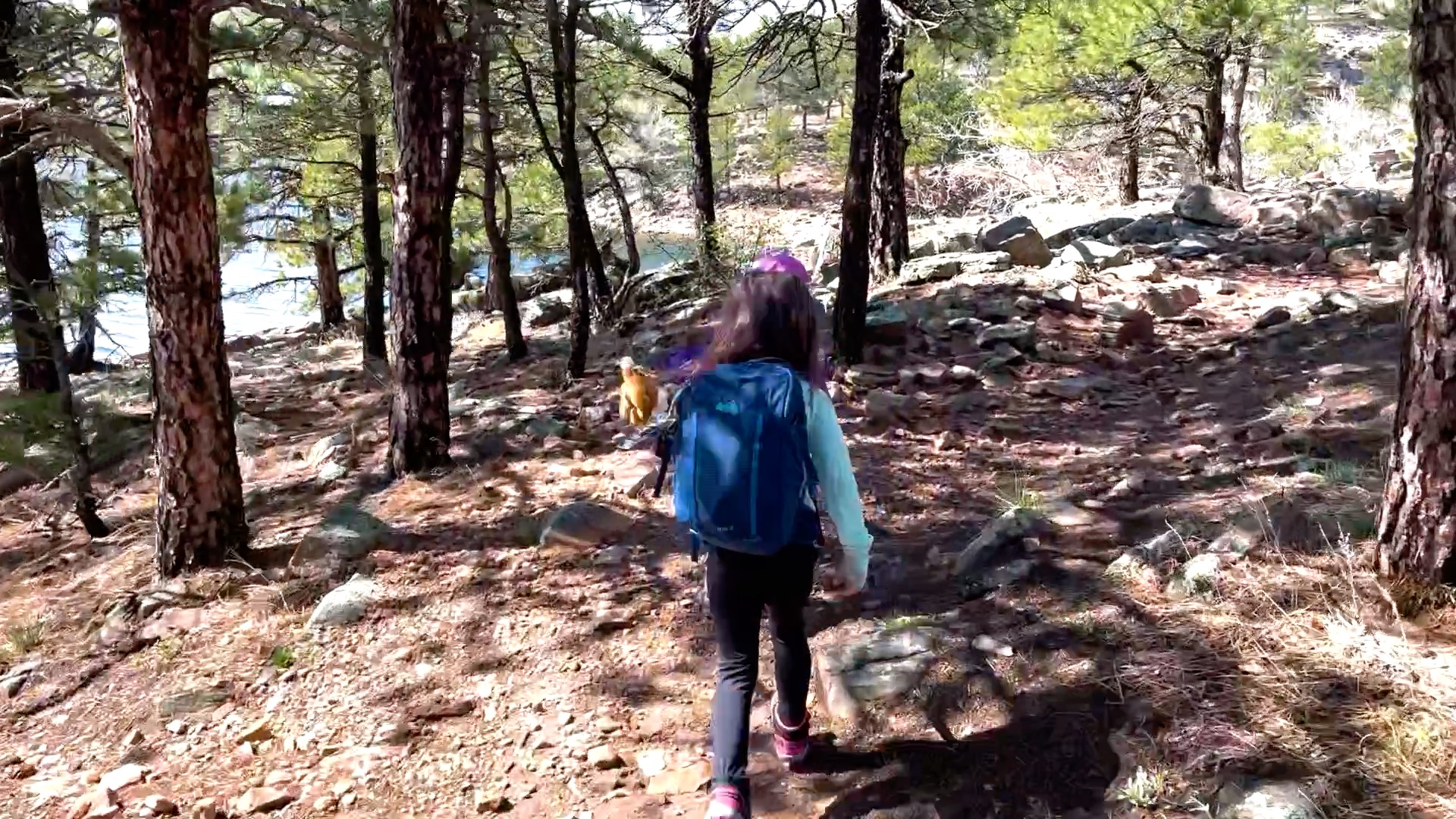 🌲 This is what summer should look like!
Rugged Research Forest Explorers Camp is coming to MacGregor Ranch July 13–17!
Give your kids a week of muddy boots, creek exploring, bug catching, and hands-on discovery all while learning how nature, wildlife, and agriculture work together in a real landscape. 🌿💧🐞
This isn’t a classroom, it’s a full-on outdoor experience designed to spark curiosity, confidence, and a lifelong connection to the natural world.
🌄 Spots are limited! Sign up now and let the adventure begin!
https://pci.jotform.com/form/260254981261154