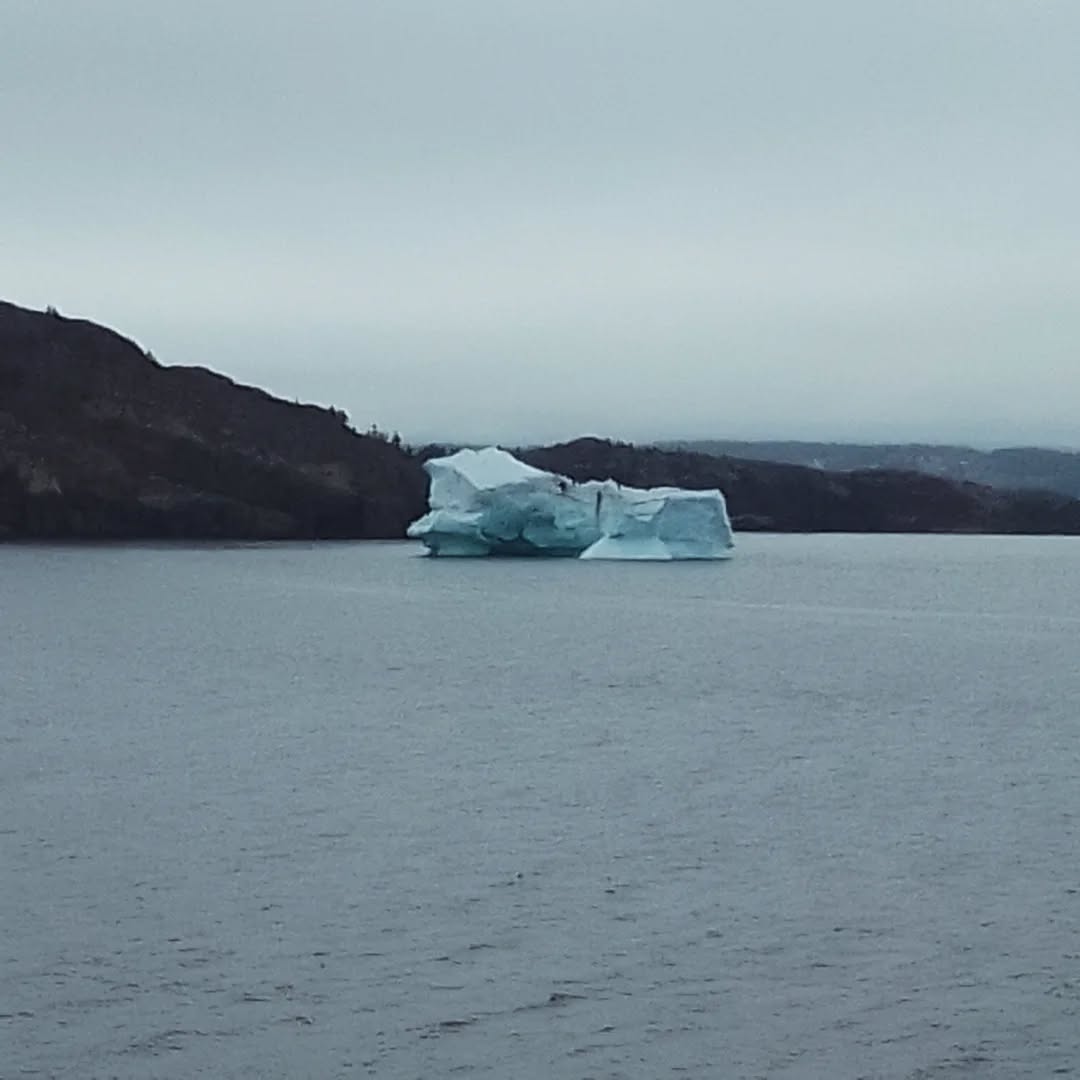 My heart is for Cupids, in spring when the fog is warm. Why is there no iceberg emoji? 🤍🤍