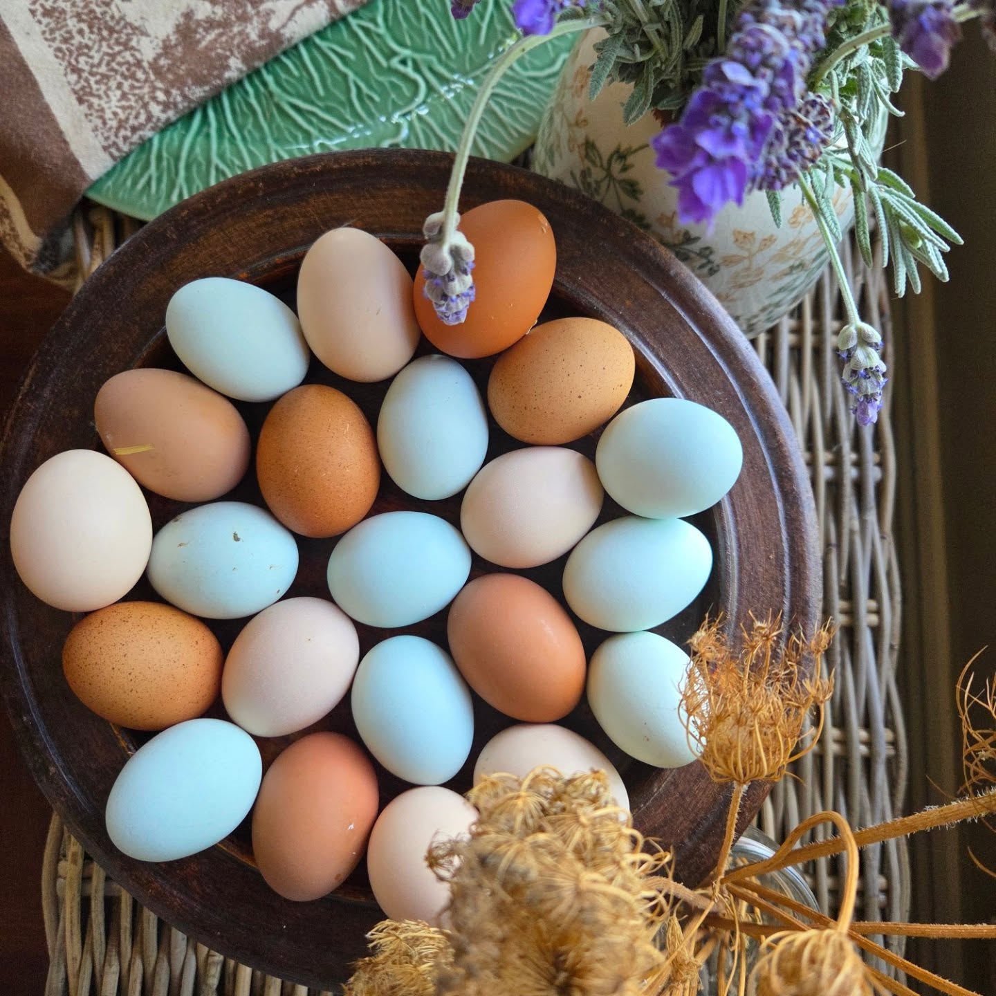 Chickens & eggs = happiness😅
.
.
.
#rainboweggs #chickeneggs #freshfarmeggs #chickensofinstagram #eggsofinstagram