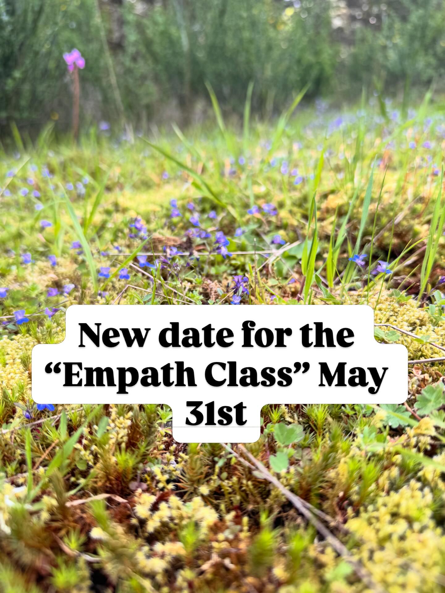 Unfortunately, I didn’t realize I originally planned this class on Mother’s Day. I have now changed the date to May 31. Hopefully this works for more people. “EMBRACING YOUR EMPATHIC SELF” class being offered!!! Message me to REGISTER TODAY!!!
Attention all empaths! I’m very excited to be offering a new Zoom class that will teach you how to make the most of your empathic abilities. Feeling what others feel can be an incredible gift but without clear boundaries, it can drain you of your energy and leave you feeling depleted.
I will teach you how to embrace your empathic gifts without “taking on” the stress and emotions that come with it. I am so excited to help you on your journey to achieve a balanced empathic life (with a little help from my guides)!
The class will take place through Zoom on May 31st from 10am-12:00pm (PT).
Message me on this page to register for this unique class! The tuition is $111 (CAD).
My guides are very excited to teach this class. If you’re drawn to this opportunity and eager to explore and expand your empathic self, alongside like-minded souls, please message me to register TODAY!!
I look forward to seeing you there!