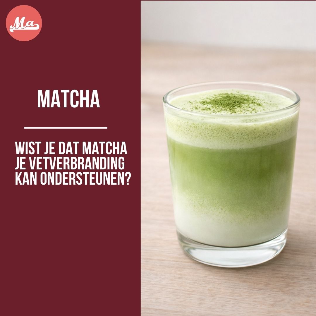 Wist je dat matcha je vetverbranding kan ondersteunen? 🍵
Matcha is méér dan een trendy groene latte.
Wat het zo bijzonder maakt?
✔ Het bevat EGCG, een krachtige antioxidant
✔ Het kan vetoxidatie ondersteunen
✔ Je krijgt geleidelijke energie zonder suikerpiek
✔ Het helpt bij focus en concentratie
En in tegenstelling tot gewone groene thee drink je bij matcha het volledige blad — waardoor je meer voedingsstoffen binnenkrijgt per kop.
Let op: matcha is geen wondermiddel.
Maar als onderdeel van een gezonde leefstijl kan het een mooie aanvulling zijn.
Wil je weten hoe dit precies werkt en wanneer je matcha best drinkt?
👉 Lees de volledige uitleg op onze blog