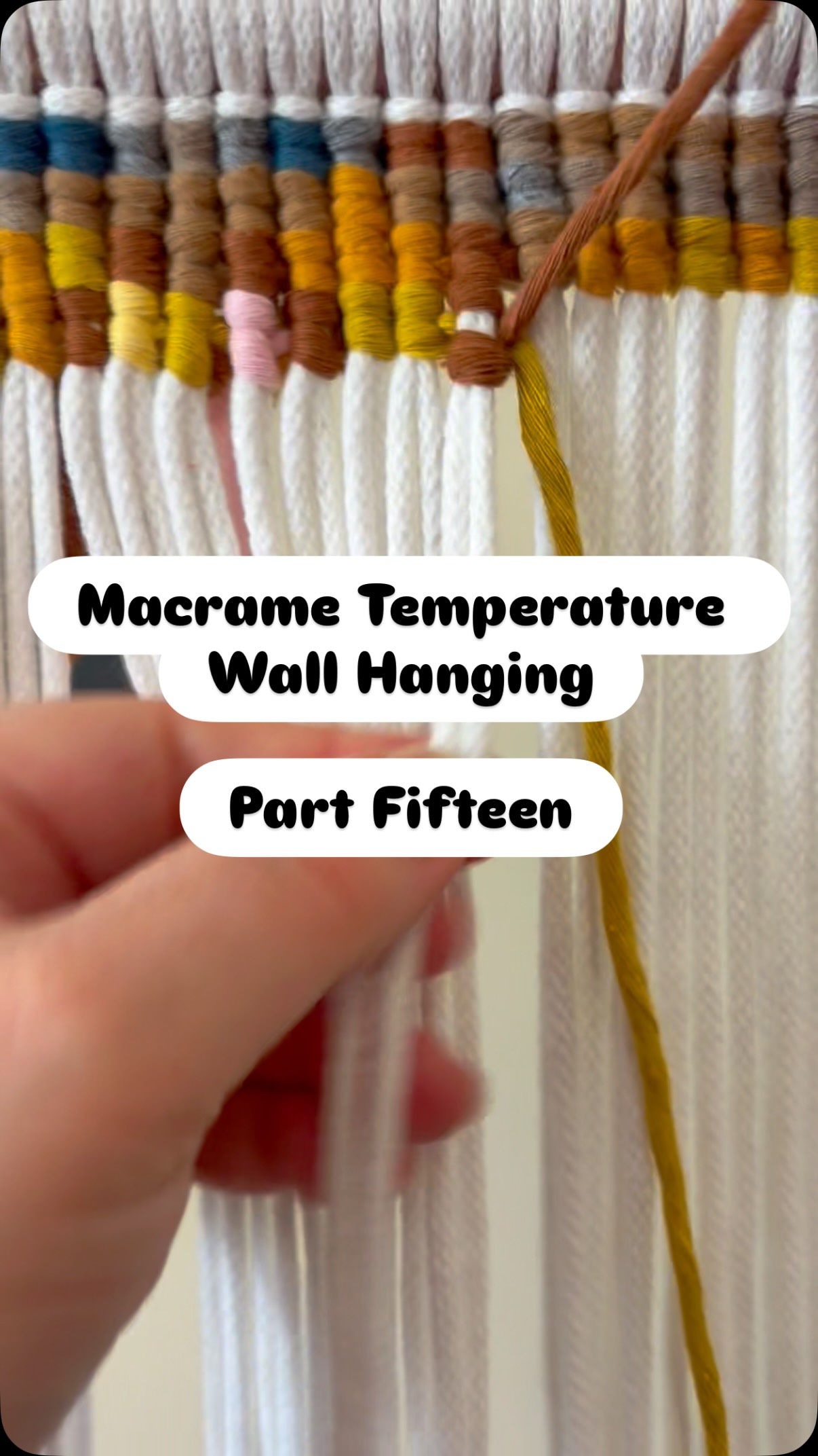 Macrame Temperature Wall Hanging
Part Fifteen
Still trying to catch up with the editing! Getting there. I thought I would just do music on this one and let the knots speak for themselves!
As always if you have any questions or comments I would love to hear them!
💛
#macrametemperaturewallhanging #gemmacrame #macrameartist #macramewallhanging #suffolkmacrameartist