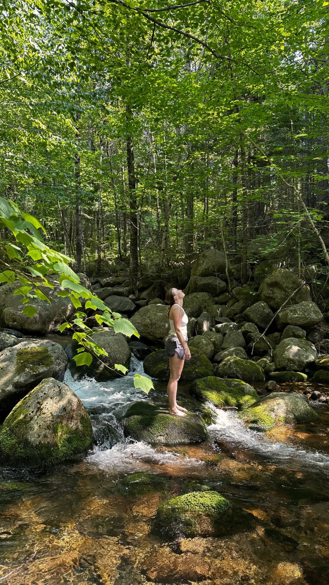 Tu vas vouloir enregistrer cette publication 🤭
Les activités à ajouter à ta bucket list cet été à Petite-Rivière-Saint-François.
🥾 Rando sur les sentiers @cooplaffluent @sentierdescaps
🚵 Vélo de montagne @lemassif
🌊 Plage + jeux d’eau @municipaliteprsf
🧗 Escalade @cooplaffluent
🌳 Canyoning @canyoningquebec
Ton été = 100% plein air ☀️
Sauvegarde pour plus tard et abonne-toi pour d’autres idées!