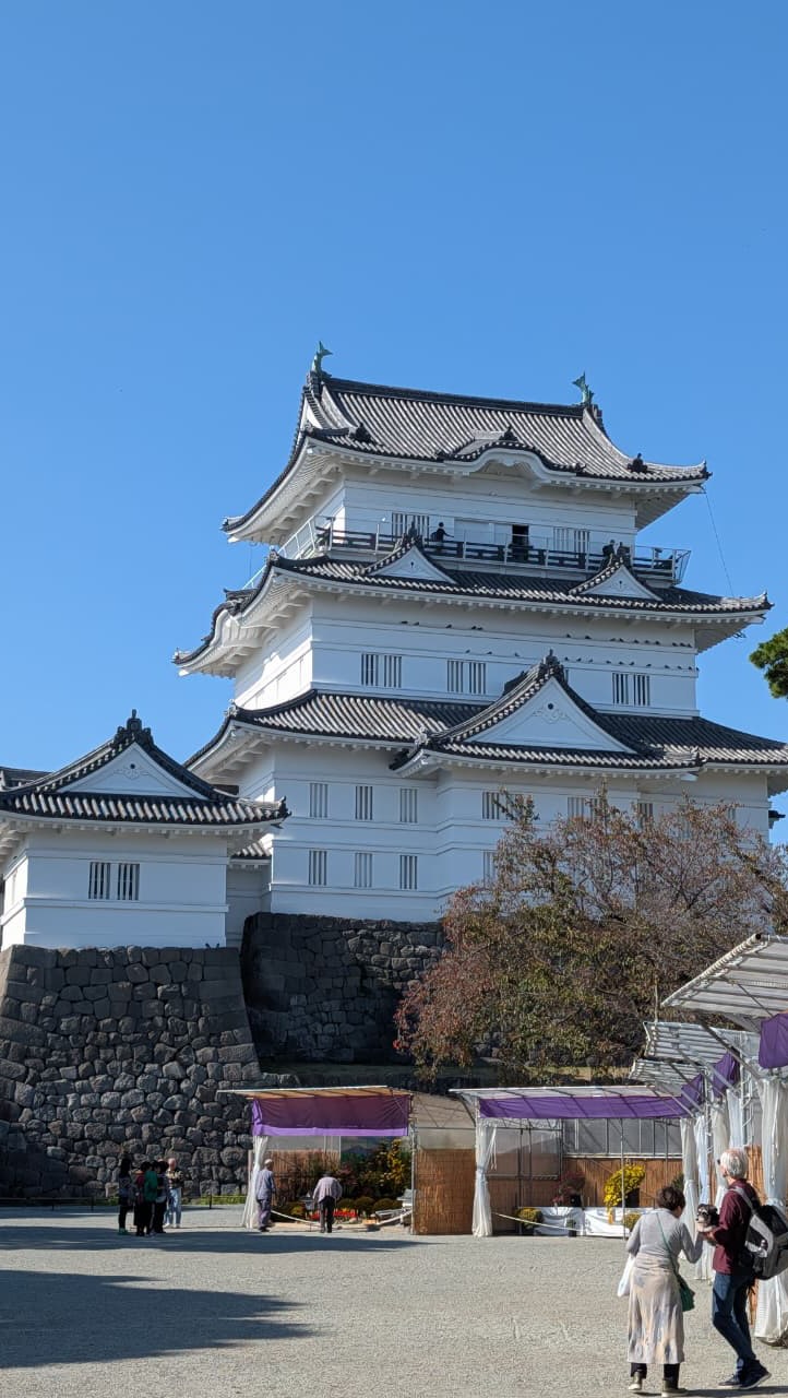 The offbeat path, perfectly orchestrated.
.
.
.
#globaljourneyz #curatedtravel #travelreels #japanstyle #visitjapan