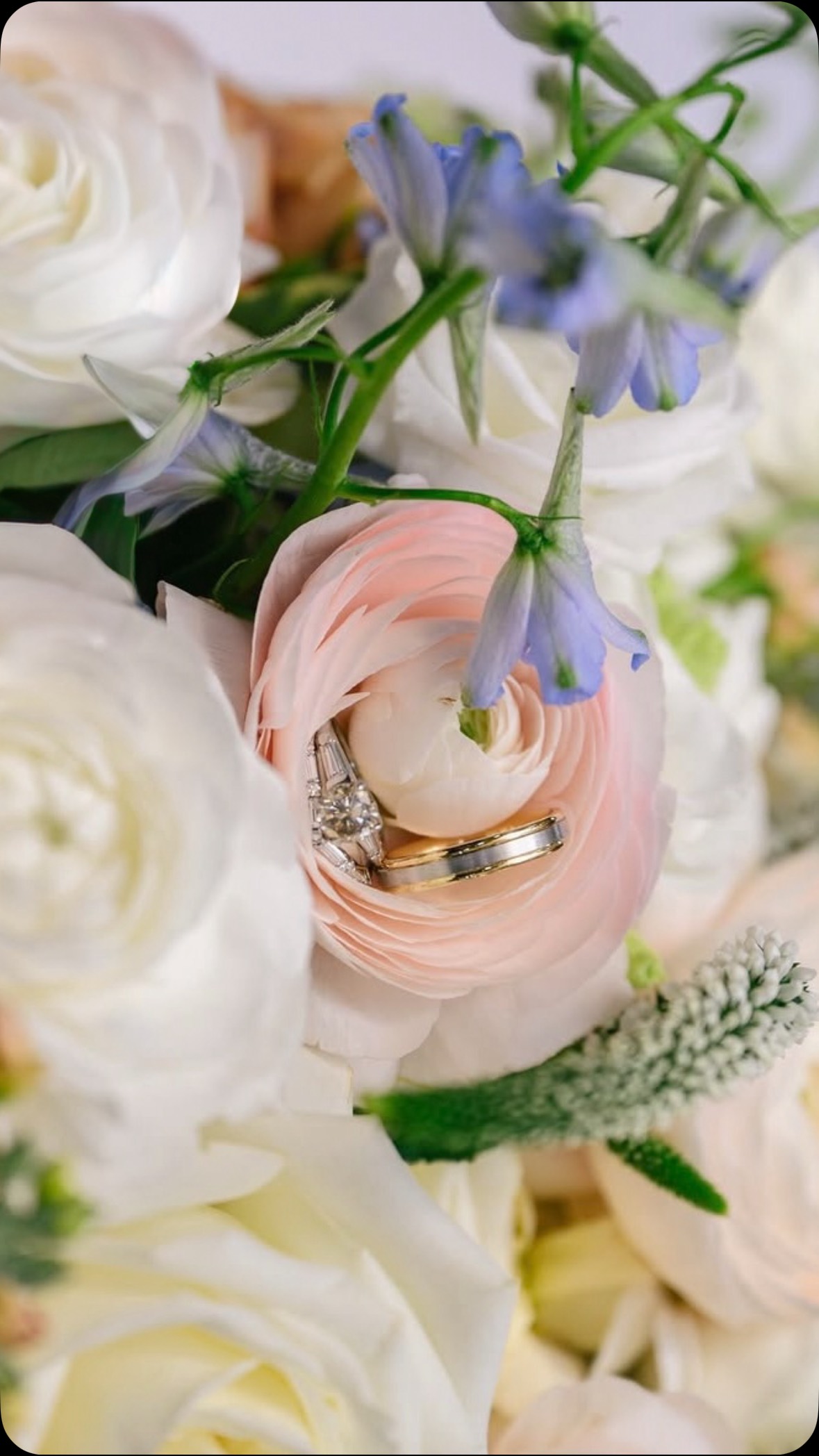 The end result will always be worth it š¤
From pickup, processing, arranging, and buildingā¦to bringing it all together onsite. Hours of labor and love are always poured into creating your perfect wedding florals.
Latsis Wedding Vendors
Venue: @bridgestreet_venue
Photographer: @rachelcbonnettphotography
Coordination & Florals: @powellsbouquet
Catering: @brightstarcatering
Bar Service: @bar.chix
Bridal Cake: Magic Muffins
Entertainment: Blaze Entertainment
Photo Booth: @letsboothit
Rentals: @decor2adore
HMU: @thelookbylexi
#weddingflorist #weddingcoordination #birminghamal #alabamaweddings #georgiaweddings