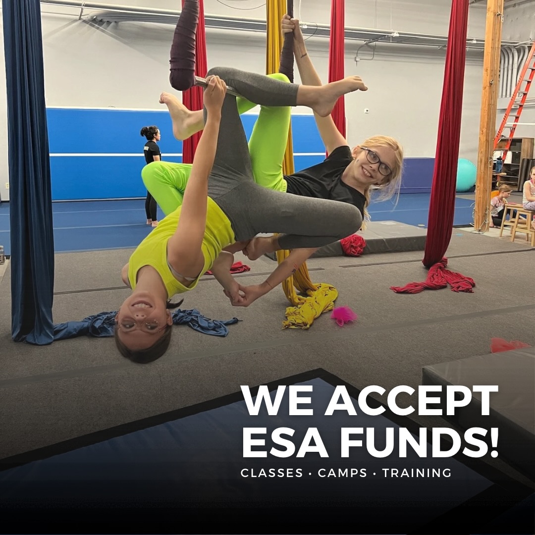 Arizona parents 👋 Did you know we’re an ESA approved vendor, which means your child’s classes, camps and training may already be covered!
If you’ve been thinking about getting your kid into something new, this is your sign 🎪 Come take a class with us through Class Wallet. DM us to get started!
#arizomakids #phoenixkids #circus #arizonaesafamilies #arizonaactivities