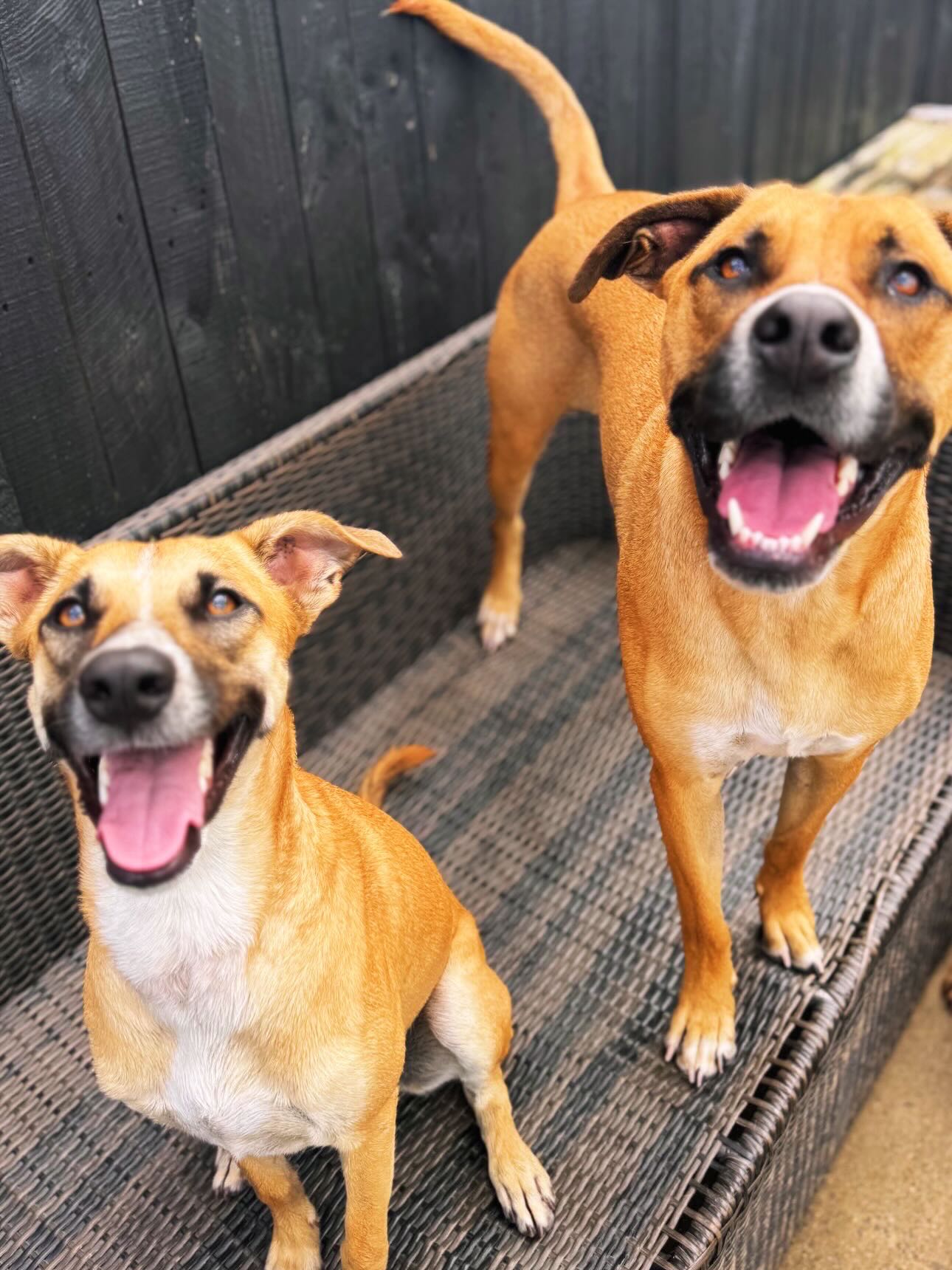 Smiling our way into the long weekend 😍