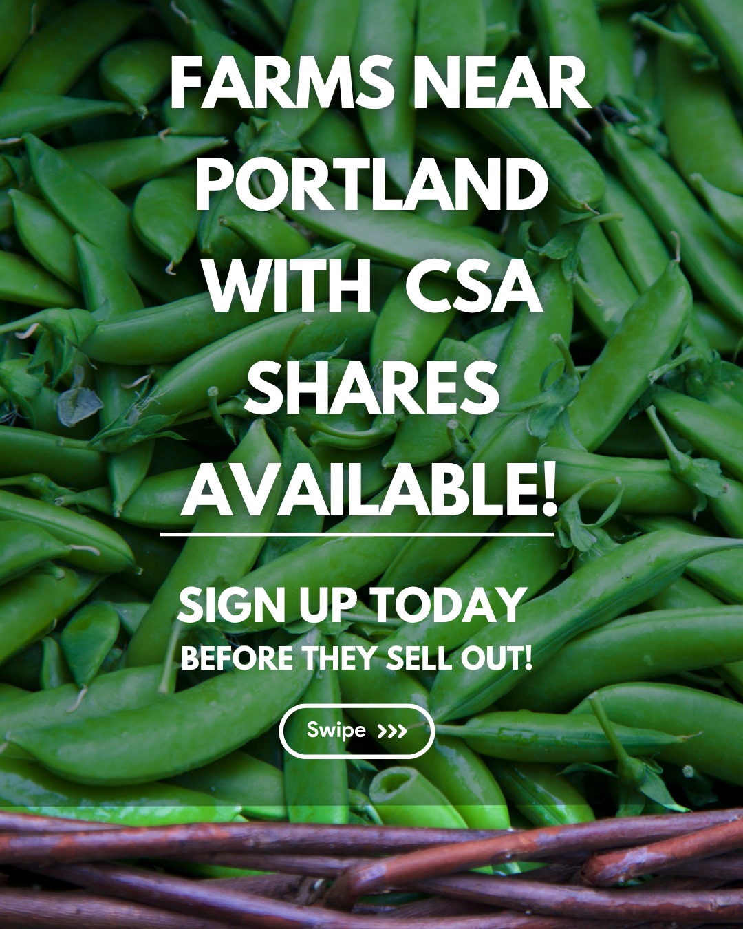 These Portland-area CSAs are almost full.
If you’ve been on the fence, this is your sign to decide. These farms have just a handful of shares left.
• Full of Life Farm
• Dilley Commons
• @laterravita
• @Littlebearfoxfarm
Some of these farms only have a few shares remaining, including limited weekly and seasonal options. This is your last chance to lock in one of these CSAs for the season.
👉 Sign up while shares are still available with our Find a Farm link in bio.
#portlandcsa #lastchance #eatlocalpdx #pnwcsa #supportsmallfarms #communitysupportedagriculture #portlandoregon #seasonaleating