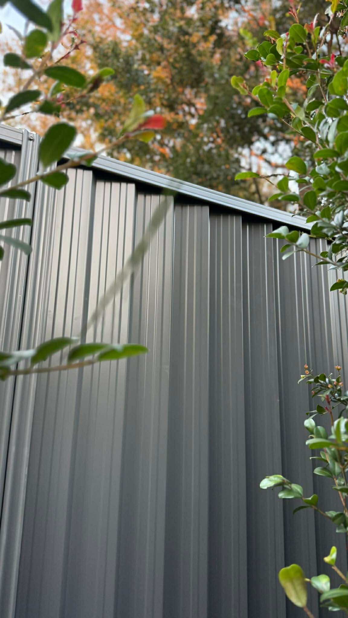 Framed. Sheeted. Built for longevity.
#colorbond #bluescopesteel®