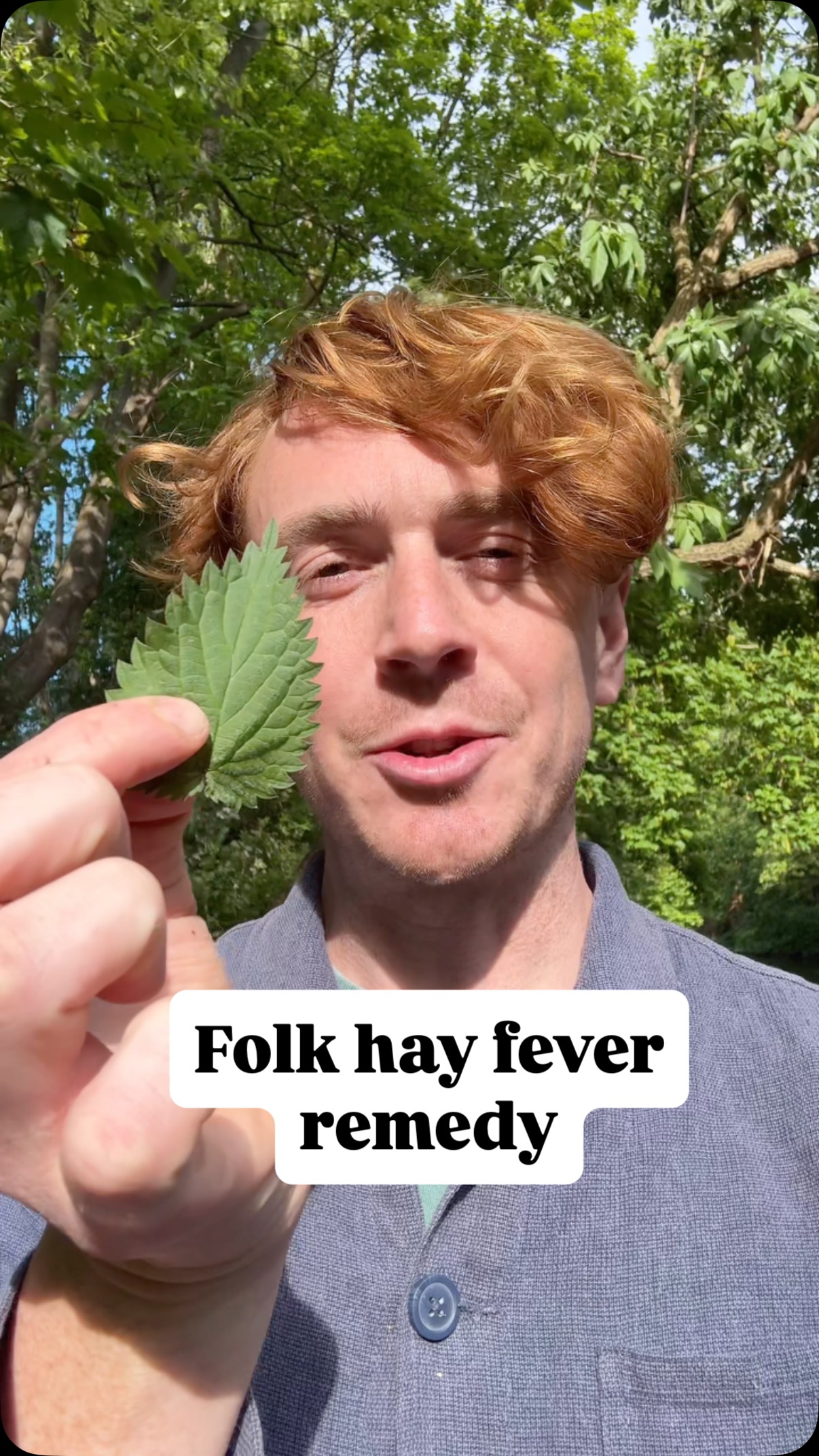 Follow @mindinnature for more folk goodness.
How long before nettles are in the supermarkets?
Nettles, urtica dioica, are a true superfood. More vitamin A,C,E,K, and B6, iron, calcium and magnesium than shop bought spinach. They also have a remarkable way of helping to reduce the symptoms of hay fever.
You can make a simple tea infusion, leaving the fresh leaves to brew in hot water for 6-7 minutes, but for a more powerful medicine, make a concoction by leaving it steeped overnight. Take every day before and during high pollen periods.
IMPORTANT: Only pick the heads of the nettles as the older leaves produce cycstoliths which can cause kidney stones! They’re also the most flavoursome and nutrient rich part. Also, don't pick once they are in flower or seed.
#nettles #stingingnettle #foraging #folkmedicine #herbalist