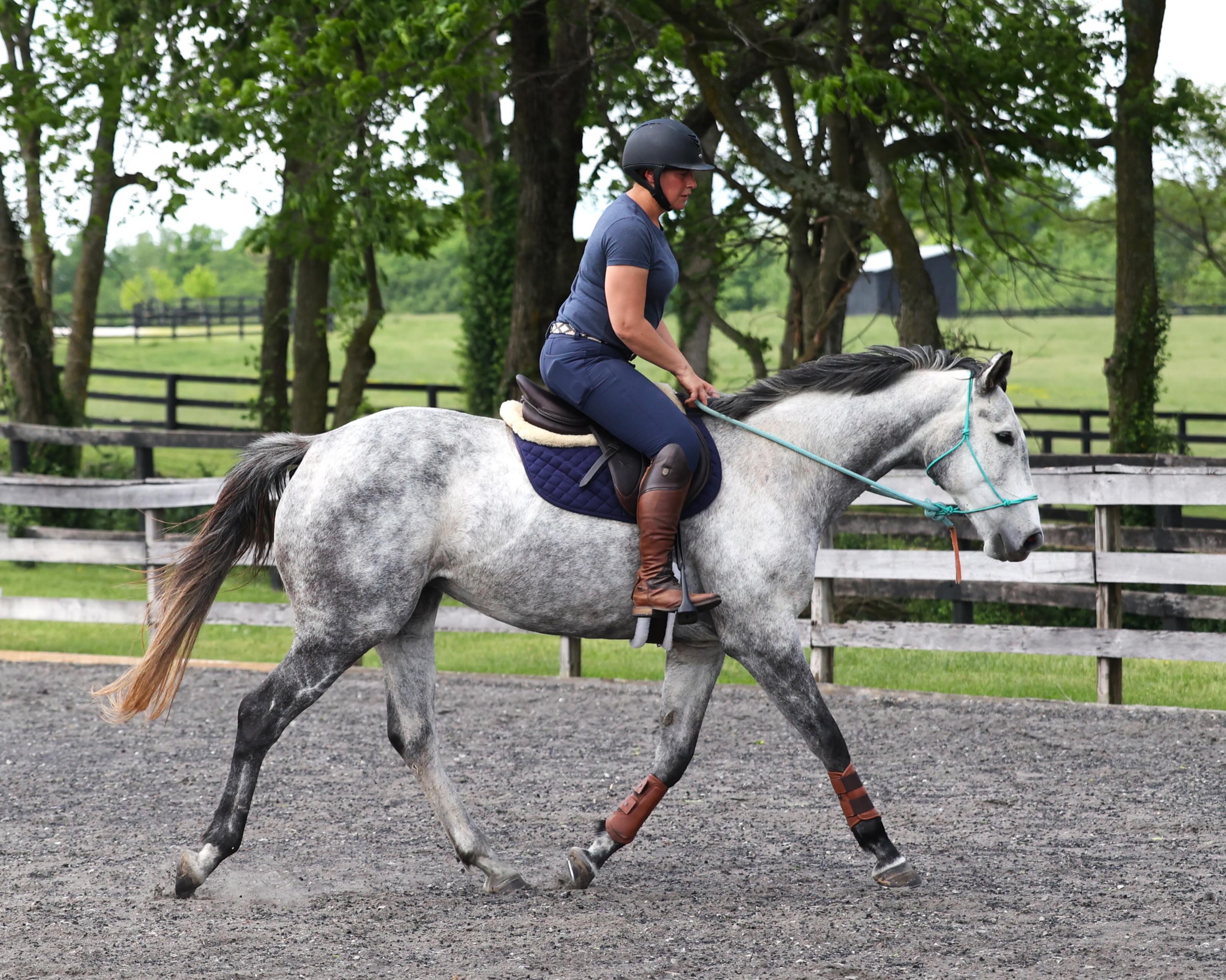 While a picture might be worth a thousand words, rarely do they tell the entire story.
Training horses is often an ebb and flow process, with some sessions being amazing, and others being...less so.
While this moment (captured by the amazing @gretacolleyy ) is so lovely, relaxed and balanced, much of our ride that day was the opposite - tense, anxious and braced.
That could have been due to a multitude of things. I was having an "off" day, the mare was probably having an off day (or vibing off of mine - as much as we try not to, sometimes it just happens), it was a bit brisk and quite windy, her friends were calling to her, I don't think she loved how I padded my saddle that day, etc., etc., etc.
Whatever the reason, some days are just like that, and that's okay. But it's a good reminder that as pretty as a picture is, it never tells the whole story.
