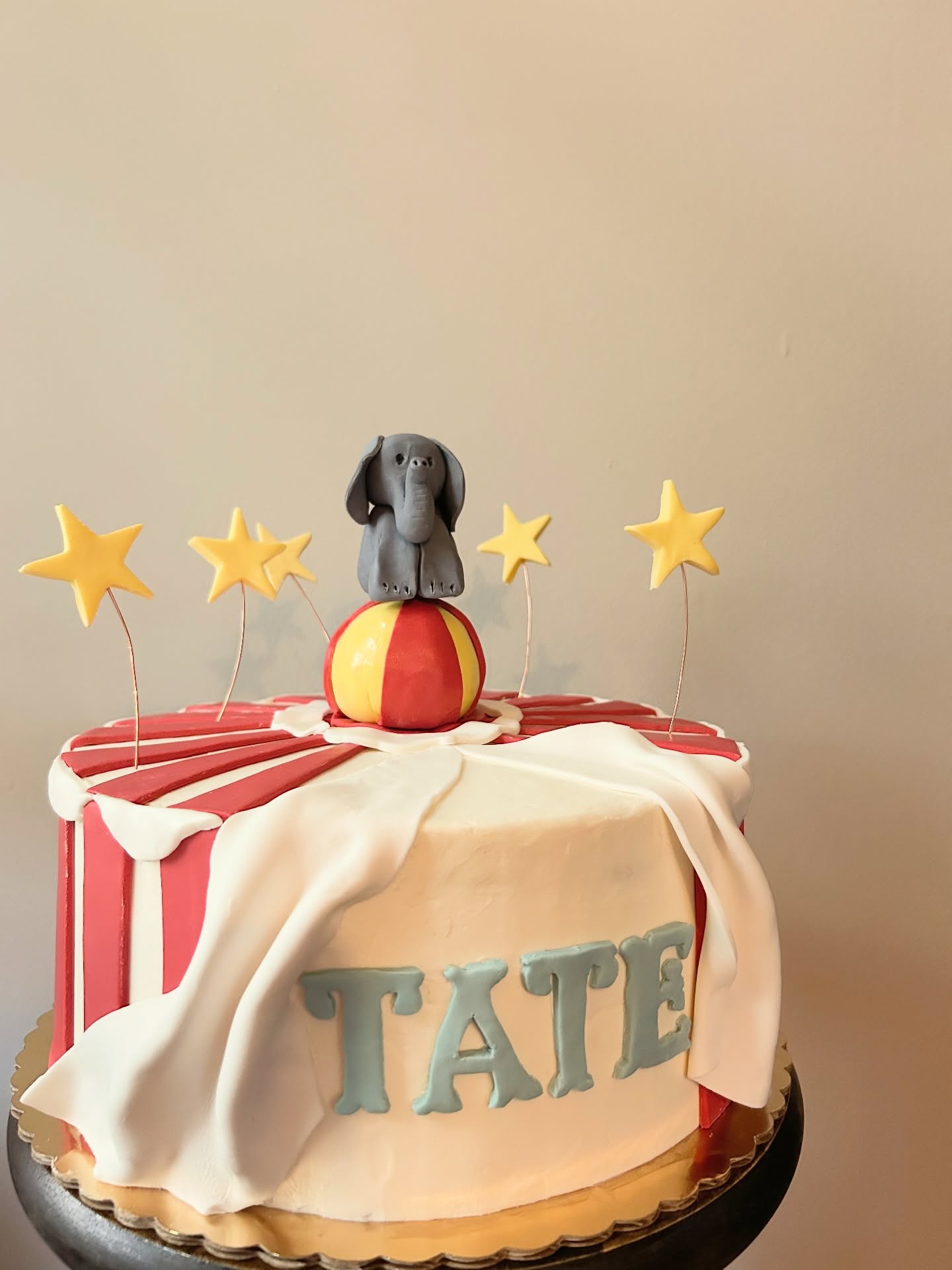 Happy 1st Birthday Tate! 🎪🐘