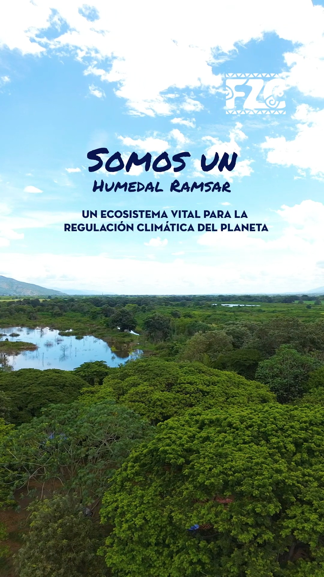 Hay ecosistemas que nos invitan a pausar y reconectar. 🌿💧
Un refugio natural lleno de vida está listo para que lo explores. Conviértete en un líder de la conservación conociendo de cerca este ecosistema vital para nuestra región.
Ven a descubrirlo. 👇
🔍 Más información y reservas: 318 7848923
📩 cea-buitredecienaga@cvc.gov.co
⏰ 9:00 a.m. a 4:00 p.m.
#Conservación #FundaciónZoológicaDeCali #NaturalezaQueHabita #HumedalesCali