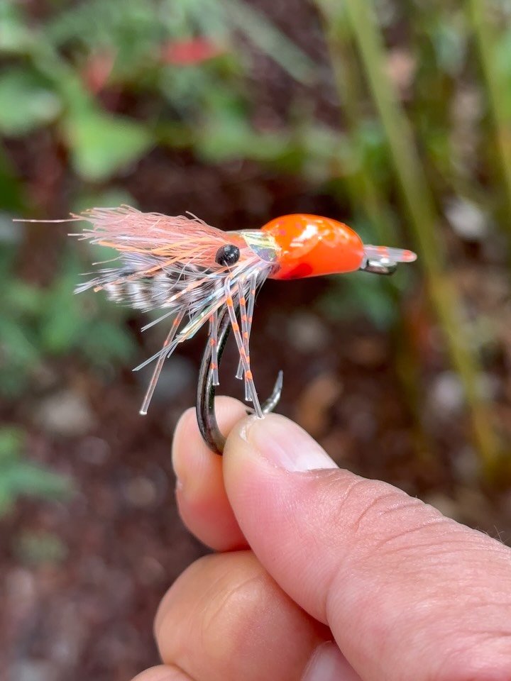 🦐🦐🦐
Hook: @ownerhooks
#MauiFlyCo #Hawaii #BuiltToProvide #Shrimp