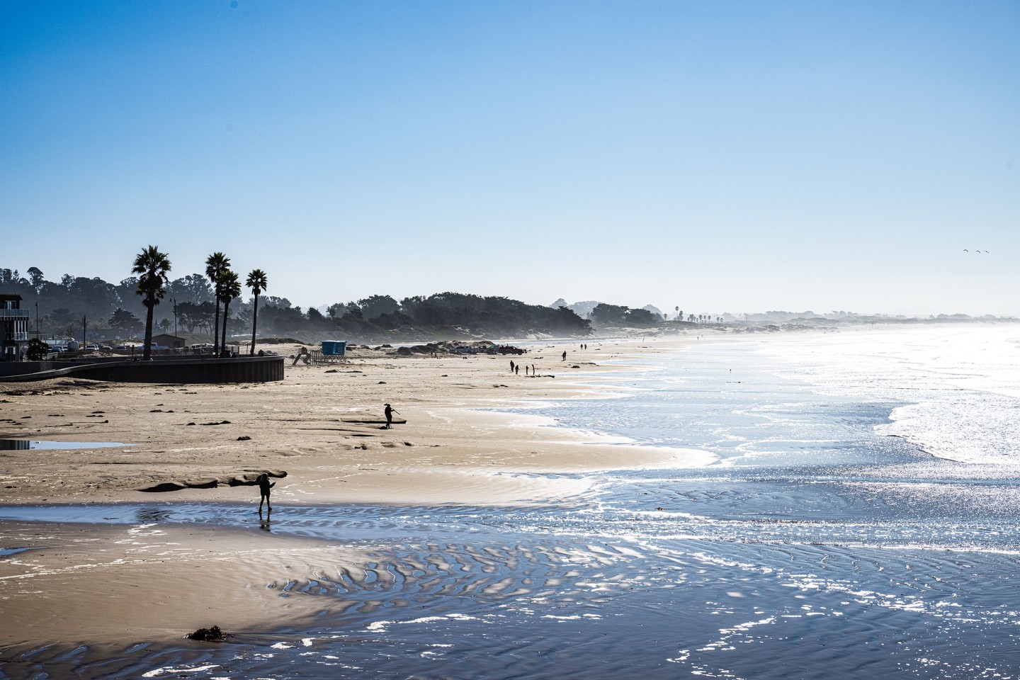 Sun, sand, repeat. ☀️🌊
.
Beach walks, salty air, and endless exploring right outside your door at Inn at the Pier in Pismo Beach.
.
Click link in bio to book your coastal escape today!