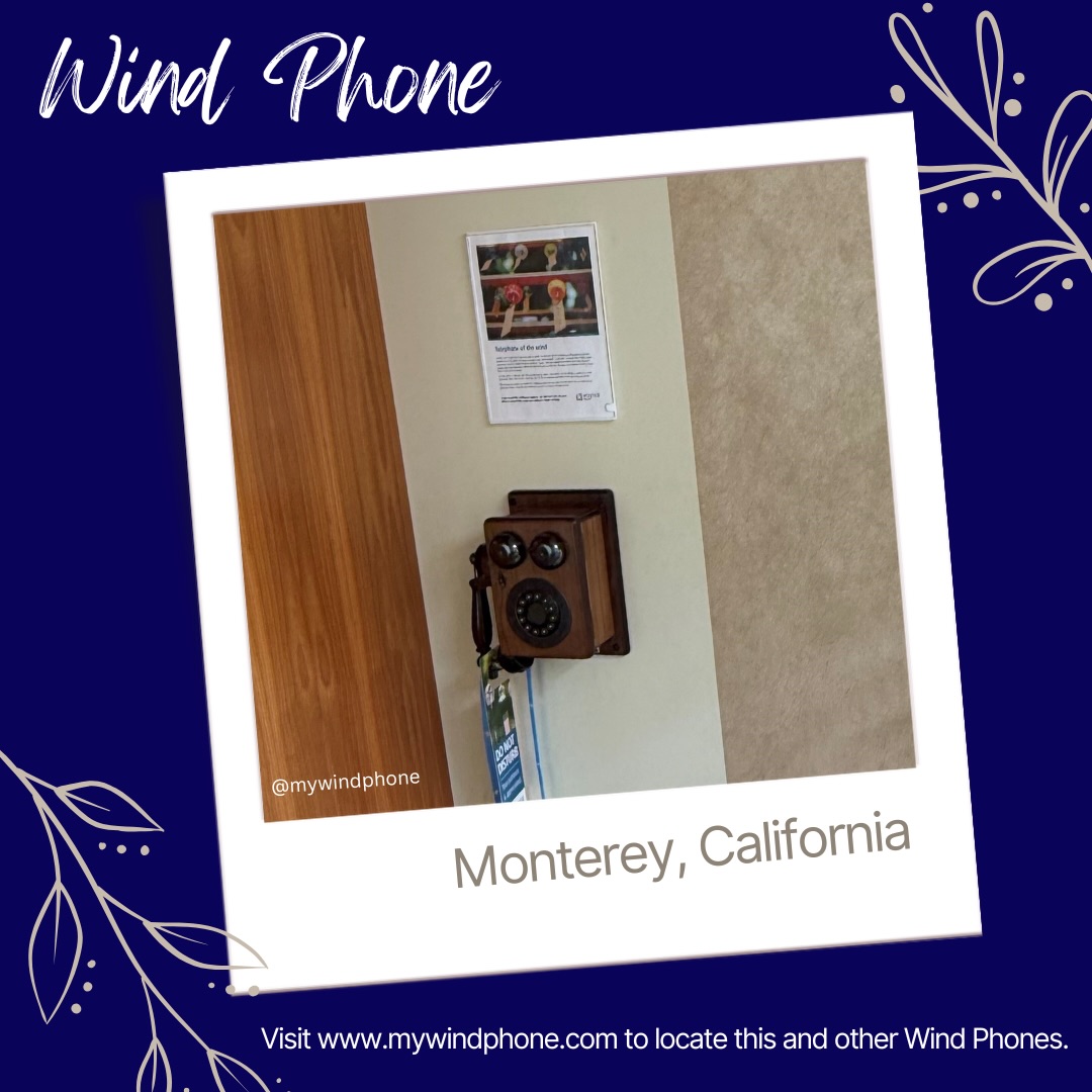Speak the words carried in your heart at this Wind Phone in Monterey, California. @mywindphone
#mywindphone #windphone #windphonenearme #windphones #telephoneofthewind