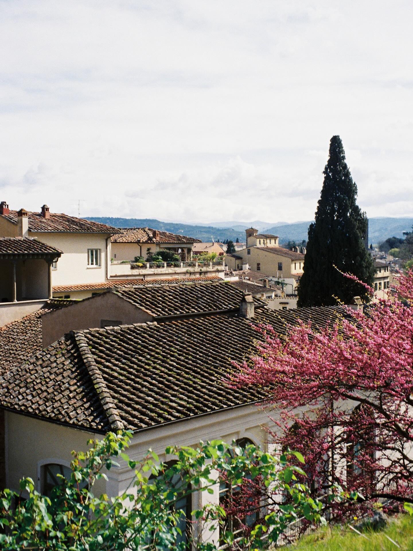 Italy on film 🌸
#film #italy #rome #florence